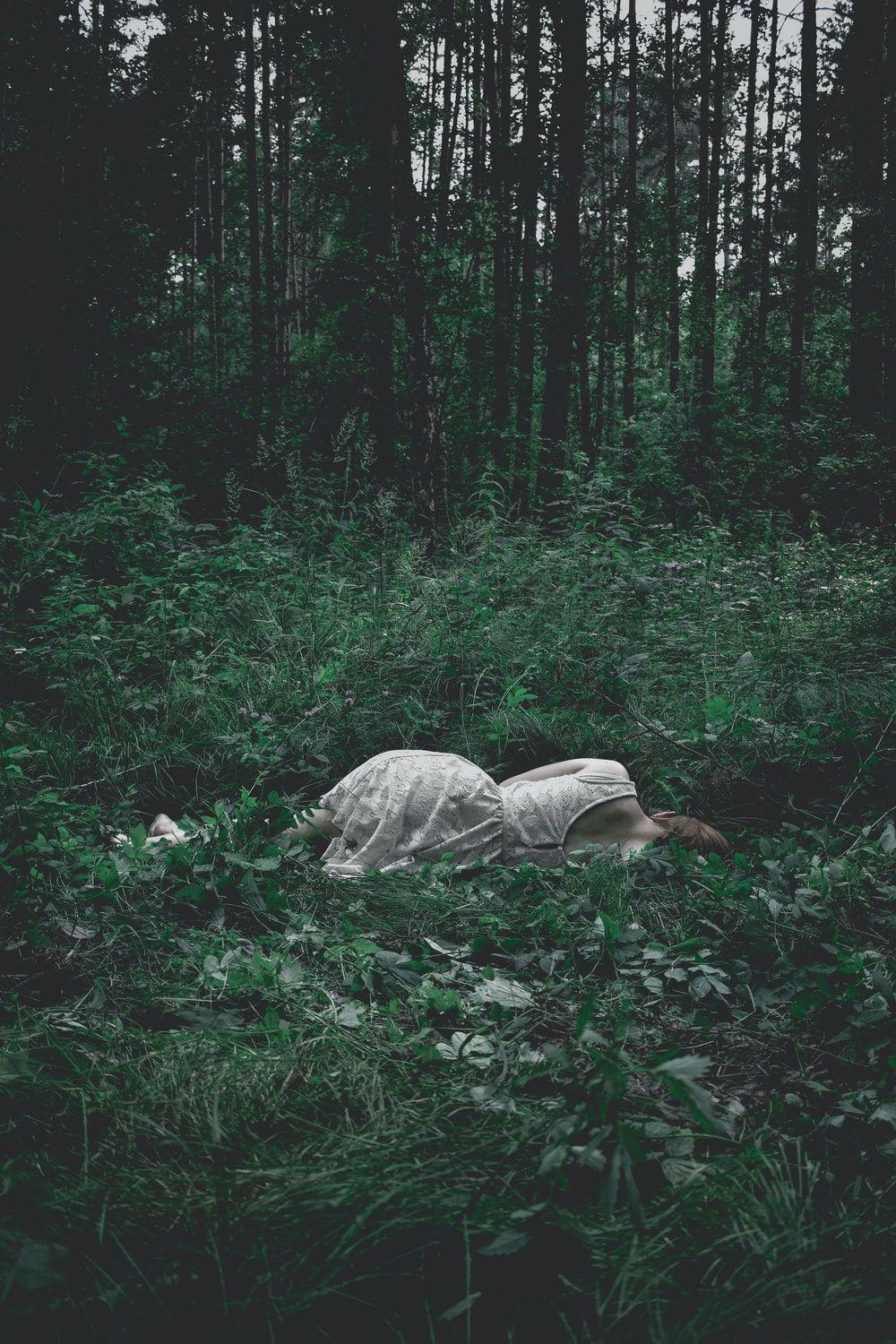 Hunter Green Wallpapers Top Free Hunter Green Backgrounds