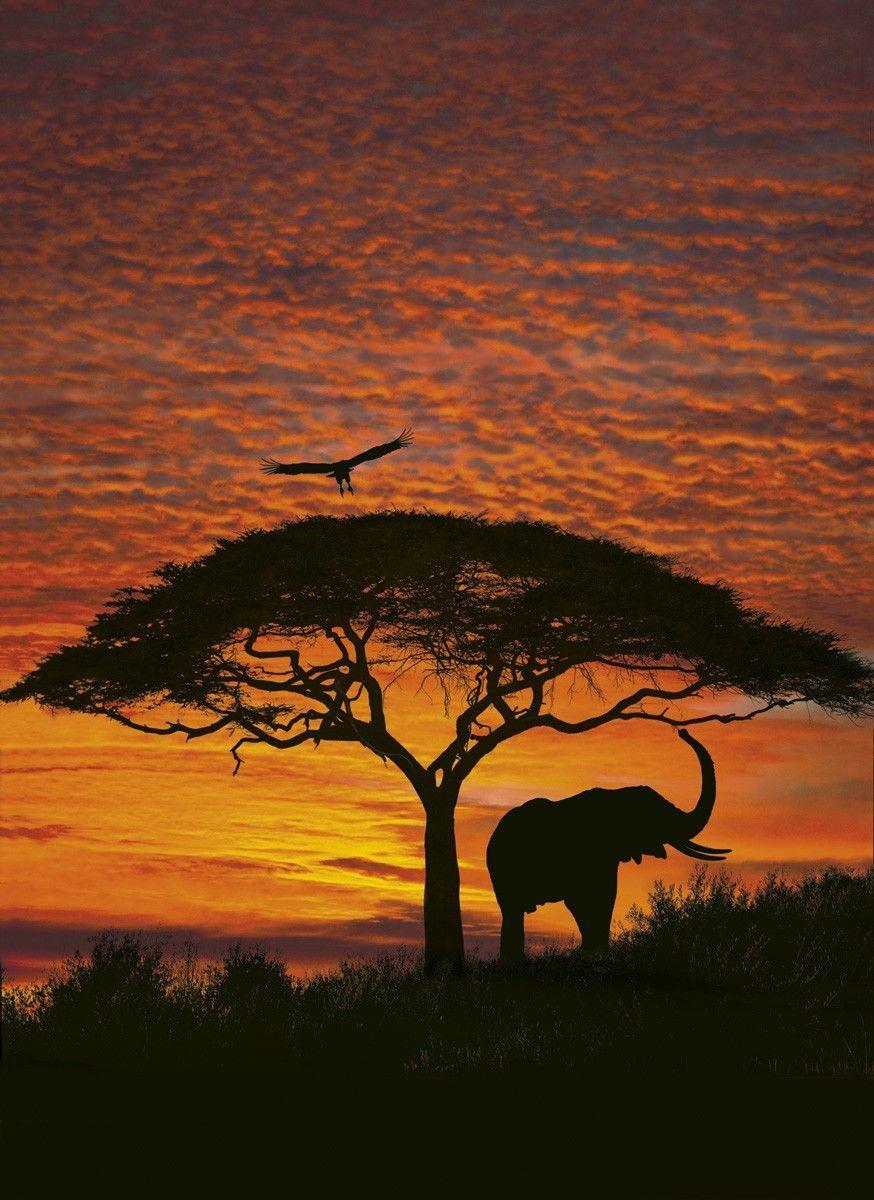African Sunrise Wallpapers Top Free African Sunrise Backgrounds