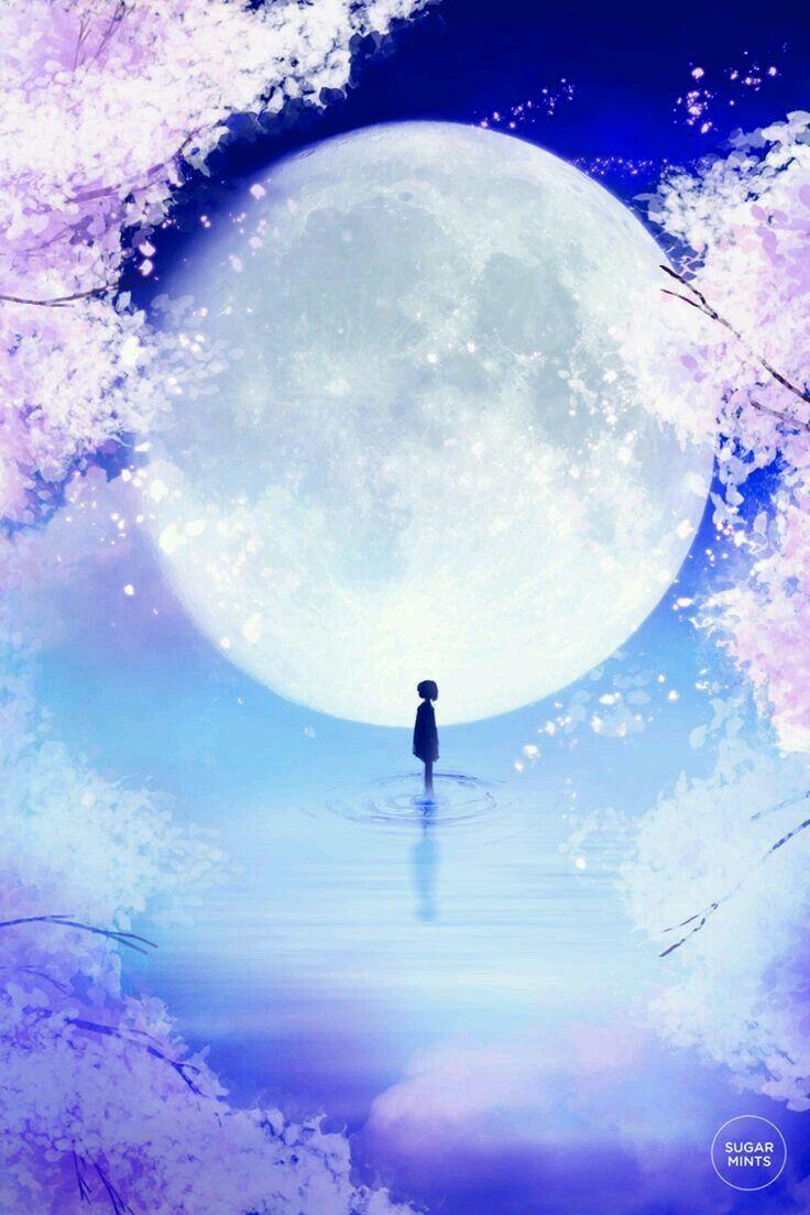 Anime Moonlight Wallpapers Top Free Anime Moonlight Backgrounds