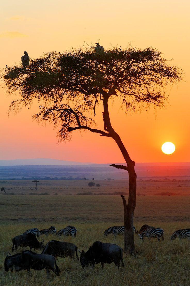 African Sunrise Wallpapers Top Free African Sunrise Backgrounds