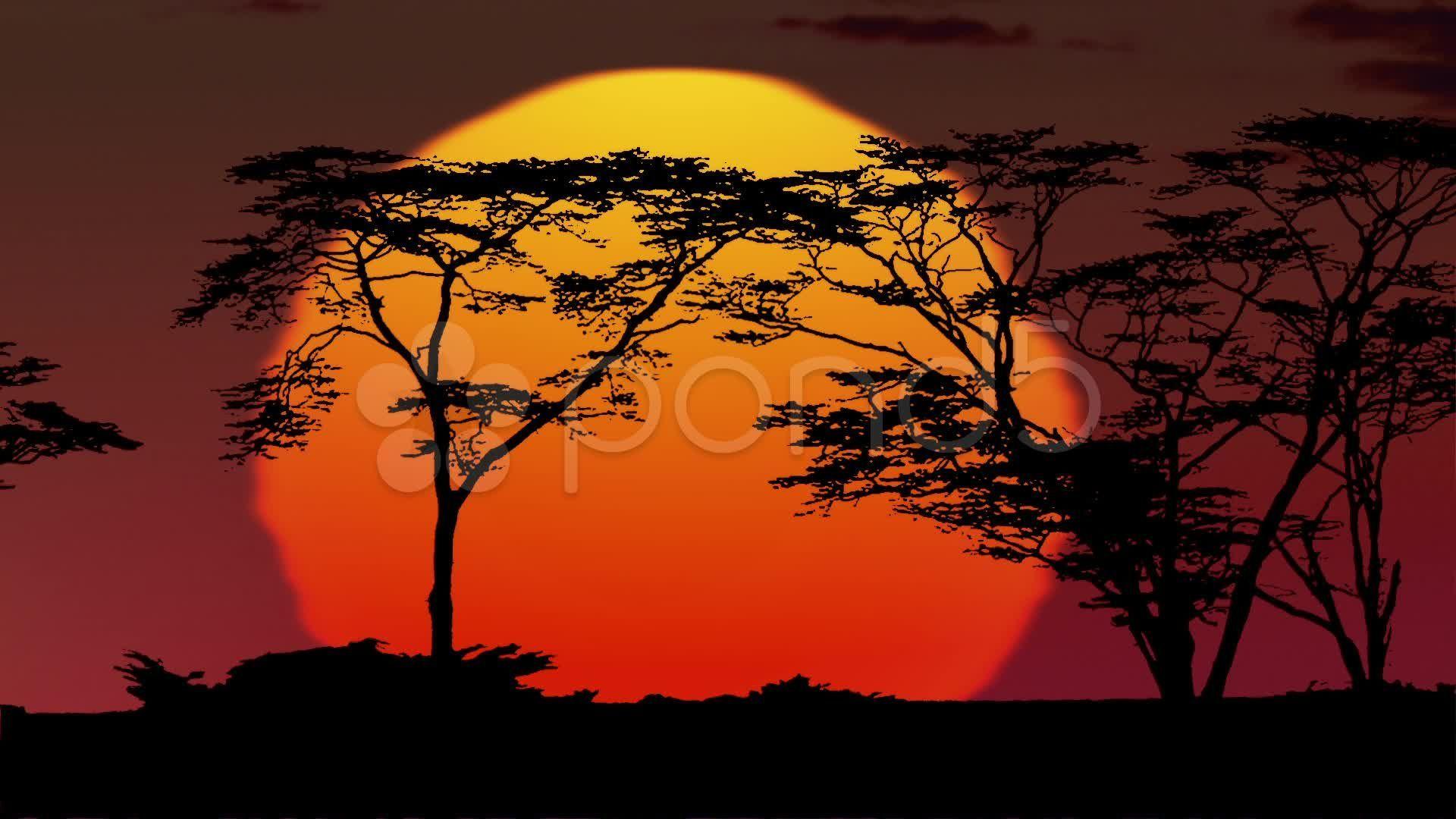 African Sunrise Wallpapers Top Free African Sunrise Backgrounds