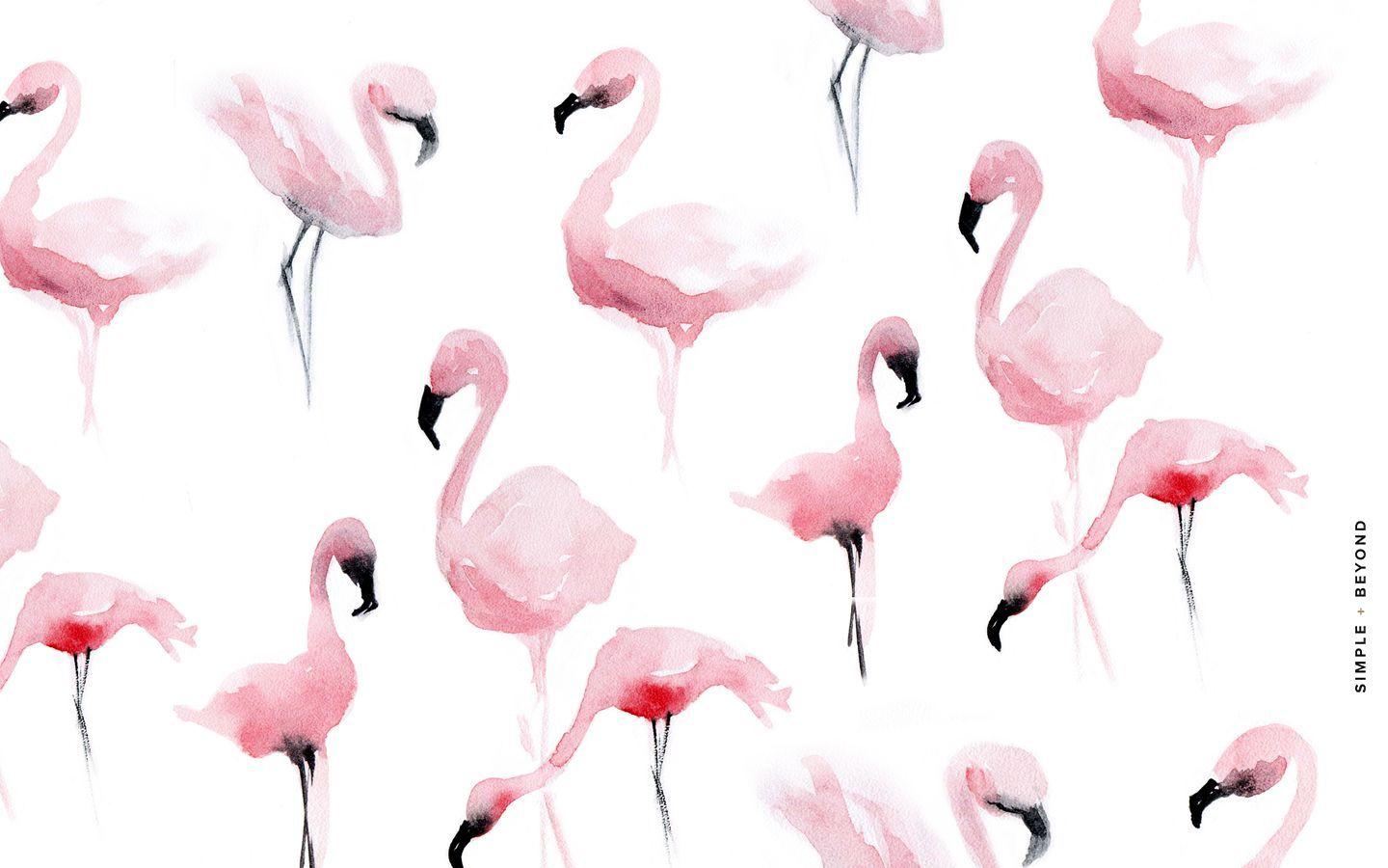 Top 85+ flamingo wallpaper for laptop best 3tdesign.edu.vn