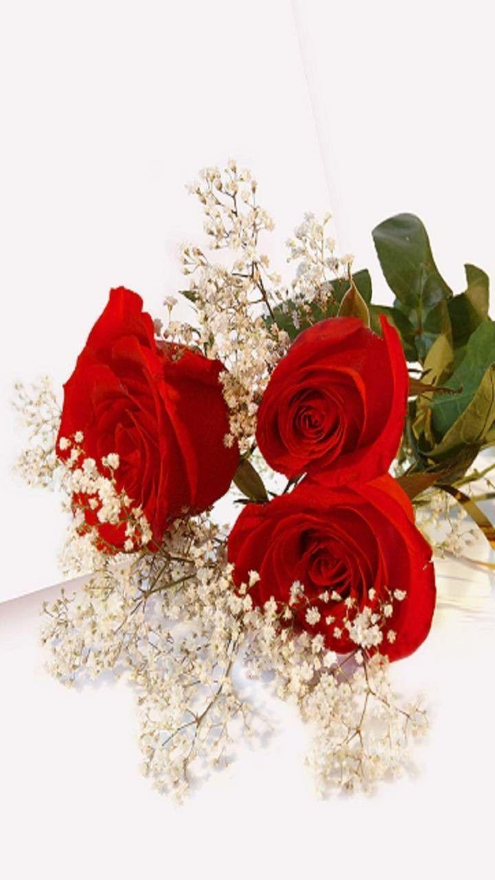 Roses Wedding Wallpapers Top Free Roses Wedding Backgrounds WallpaperAccess