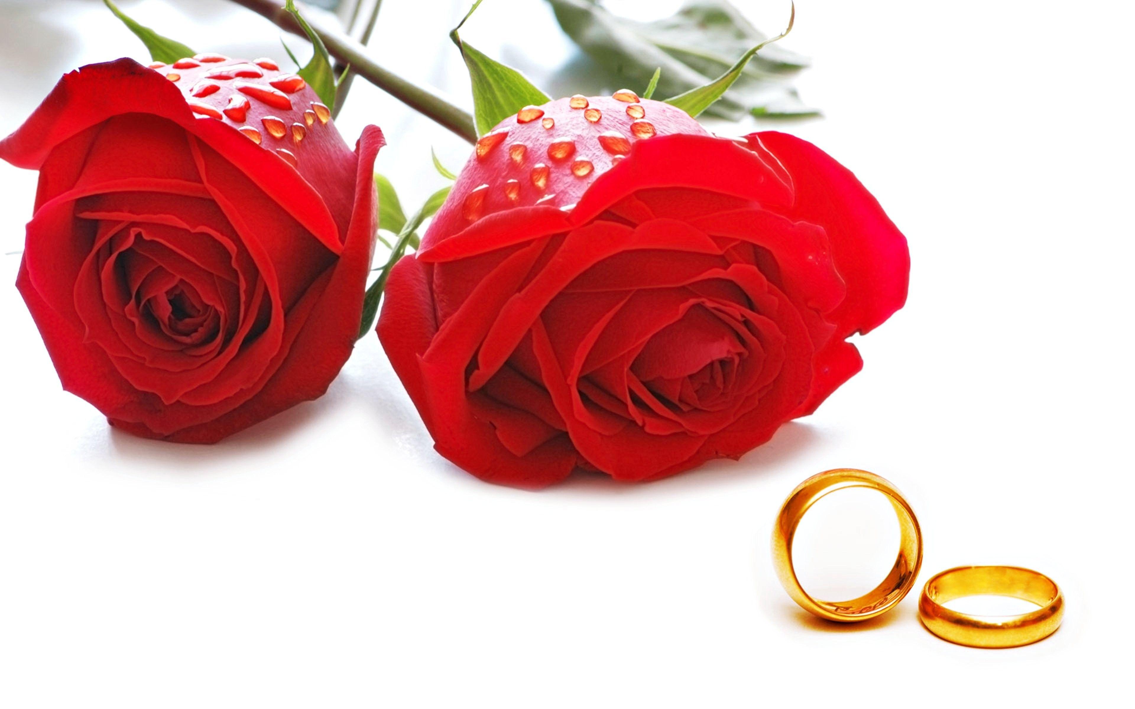 Roses Wedding Wallpapers Top Free Roses Wedding Backgrounds WallpaperAccess