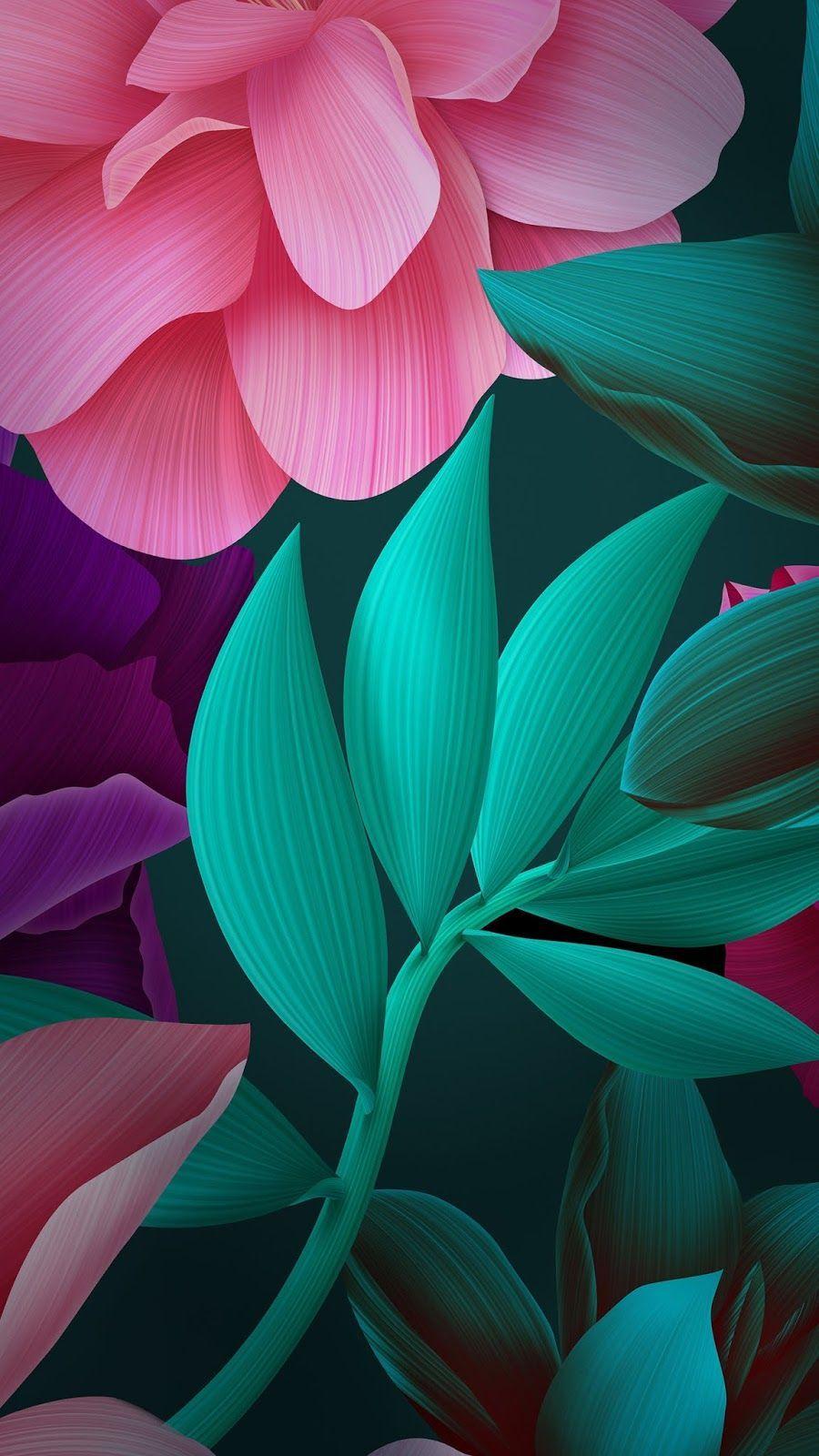 Magenta Flower Wallpapers Top Free Magenta Flower Backgrounds