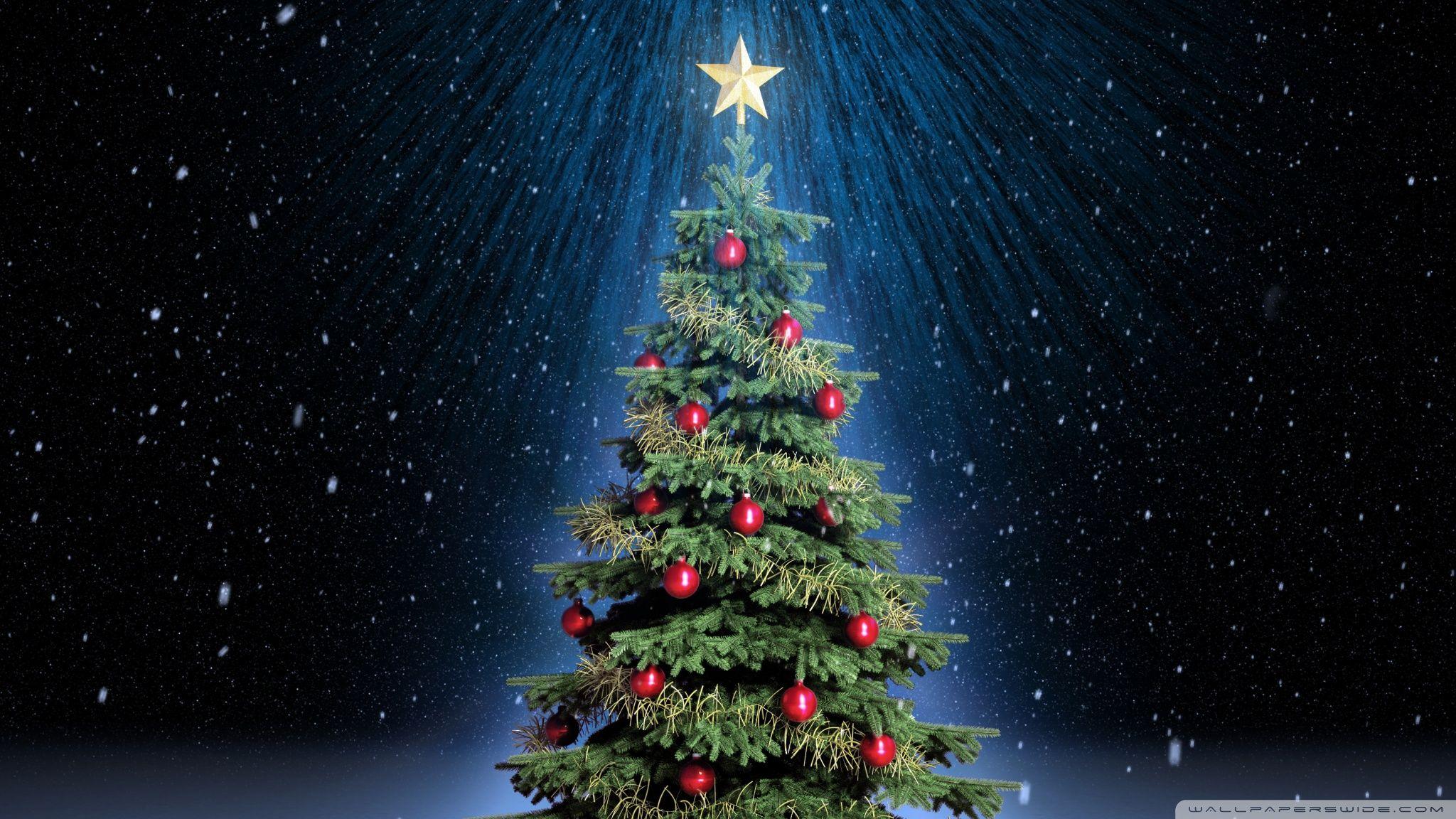 Christmas Tree HD Wallpapers Top Free Christmas Tree HD Backgrounds