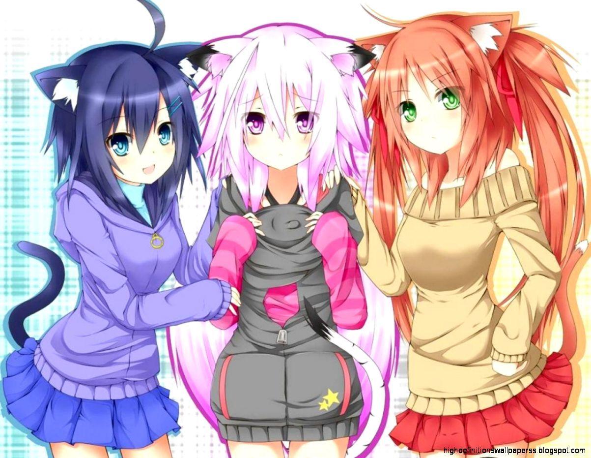 Anime Cat Girl Wallpapers Top Free Anime Cat Girl Backgrounds