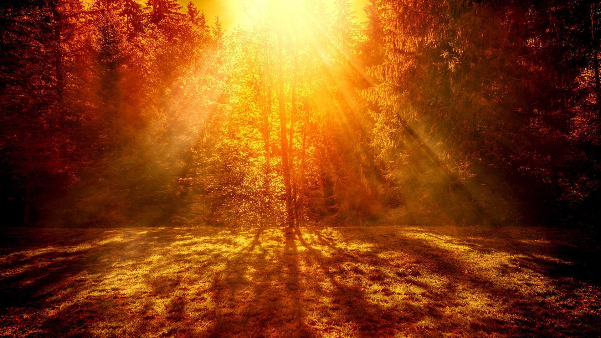 Warm Desktop Wallpapers Top Free Warm Desktop Backgrounds