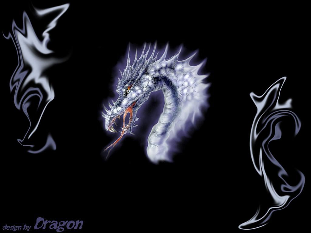 Live Dragon Wallpapers Top Free Live Dragon Backgrounds WallpaperAccess