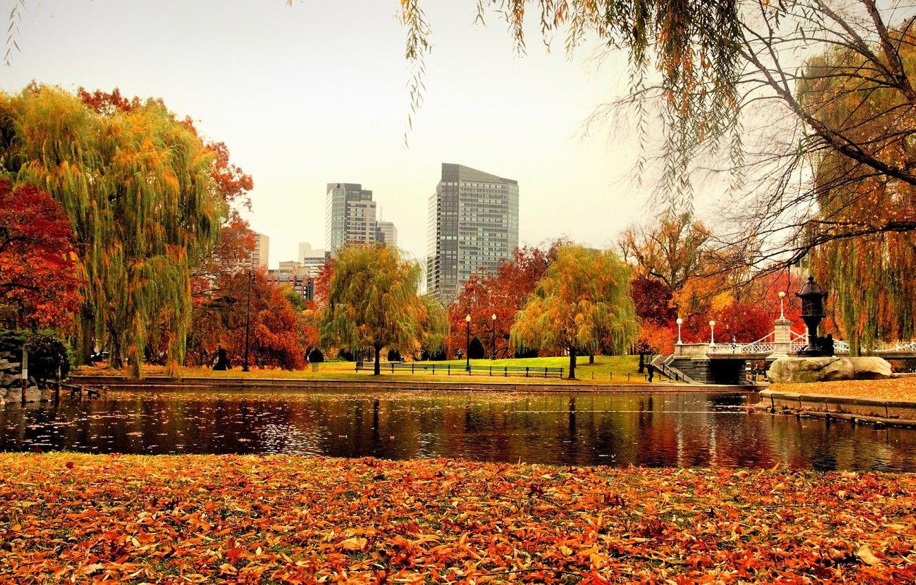 Boston Autumn 4K Wallpapers Top Free Boston Autumn 4K Backgrounds