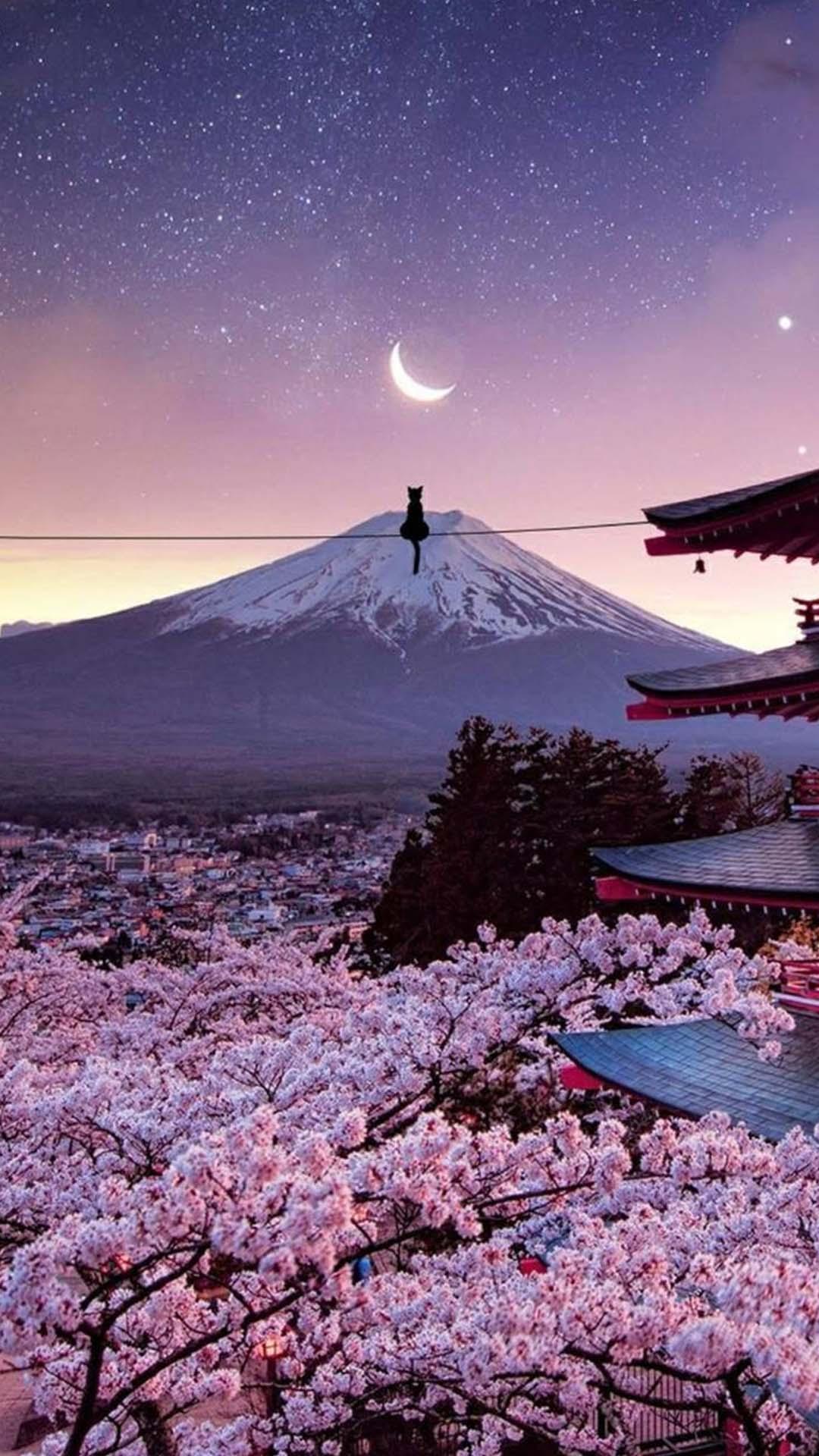 Purple Japanese Wallpapers Top Free Purple Japanese Backgrounds