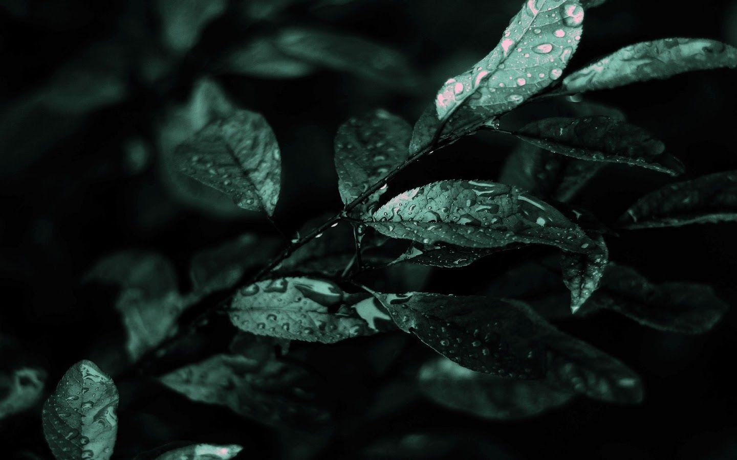 Nature Dark Abstract Wallpapers Top Free Nature Dark Abstract