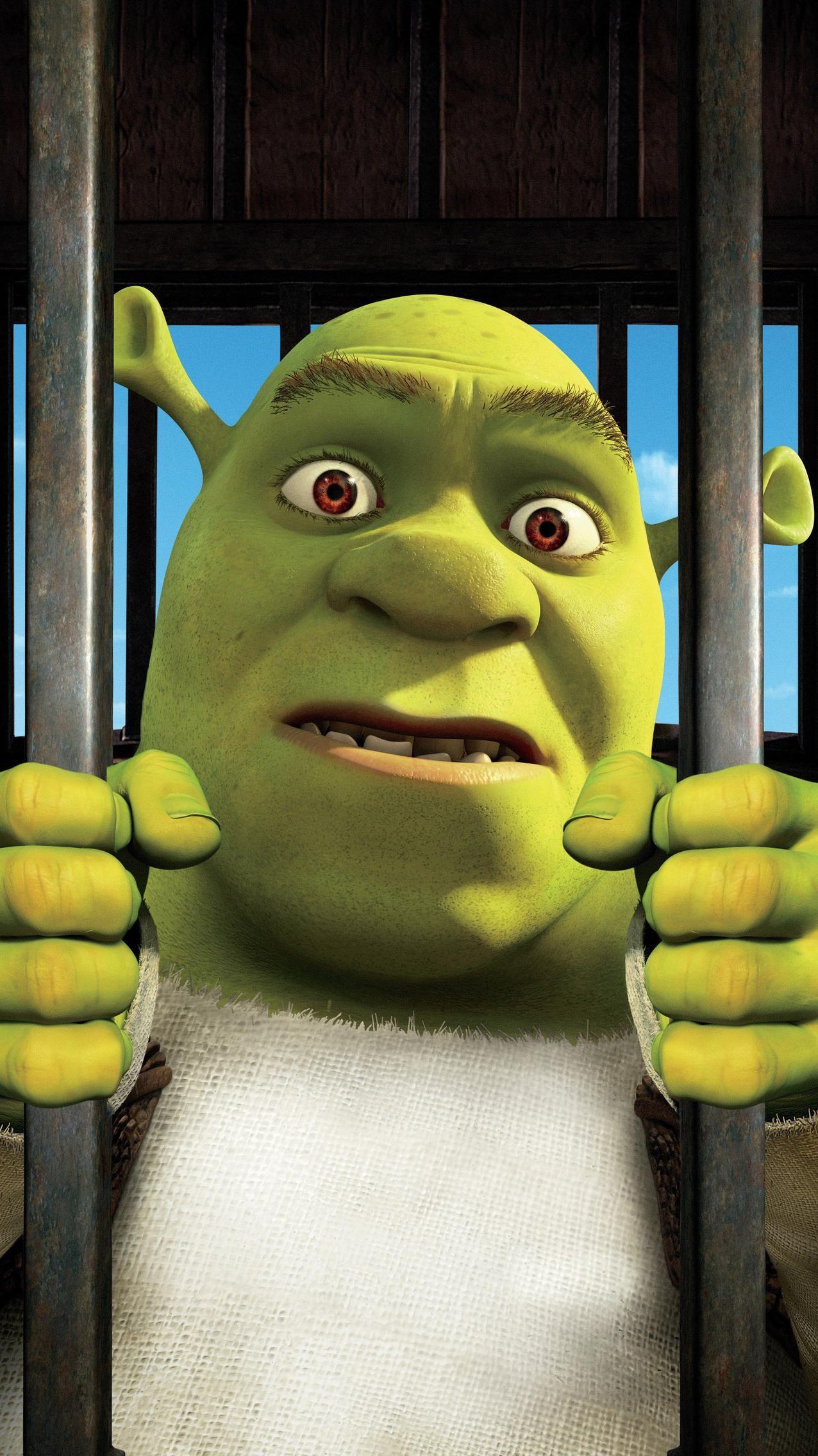 Funny Shrek Wallpapers Top Free Funny Shrek Backgrounds WallpaperAccess