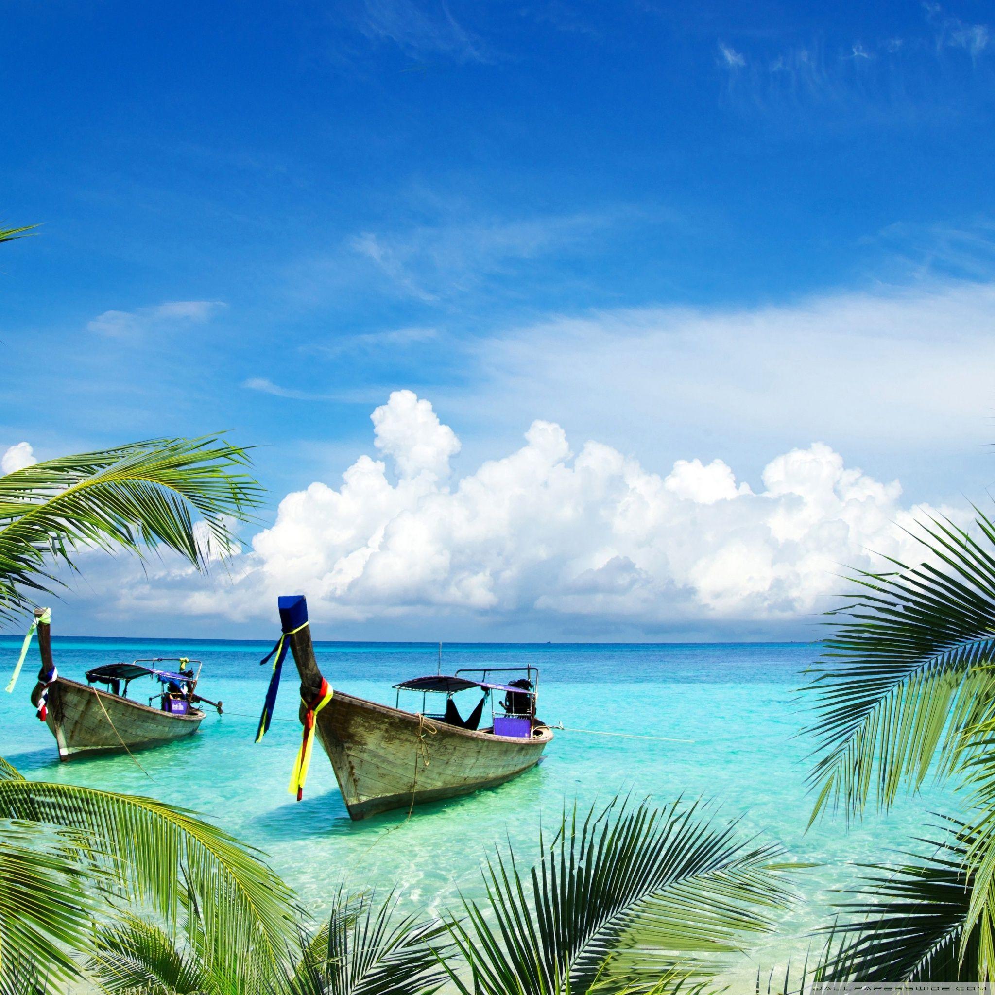 Tropical iPad Wallpapers Top Free Tropical iPad Backgrounds WallpaperAccess