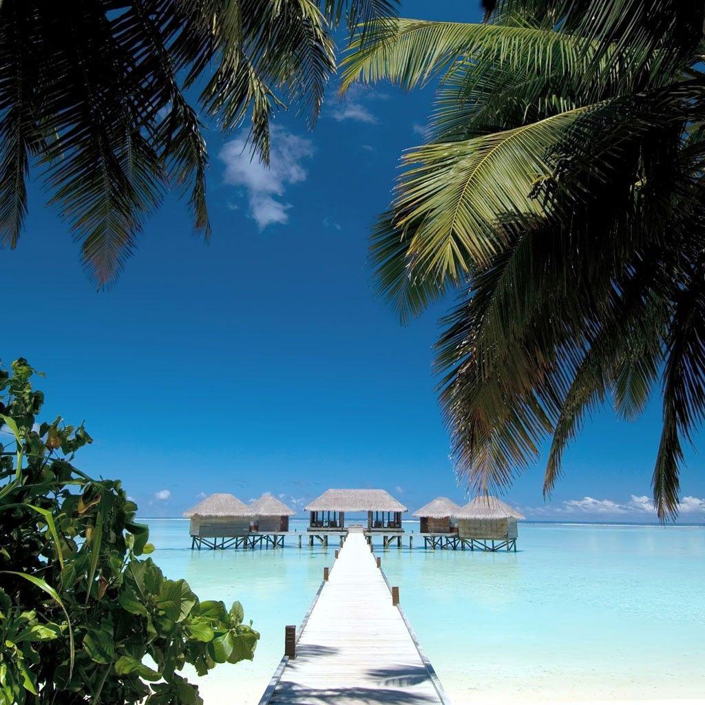 Tropical iPad Wallpapers Top Free Tropical iPad Backgrounds WallpaperAccess