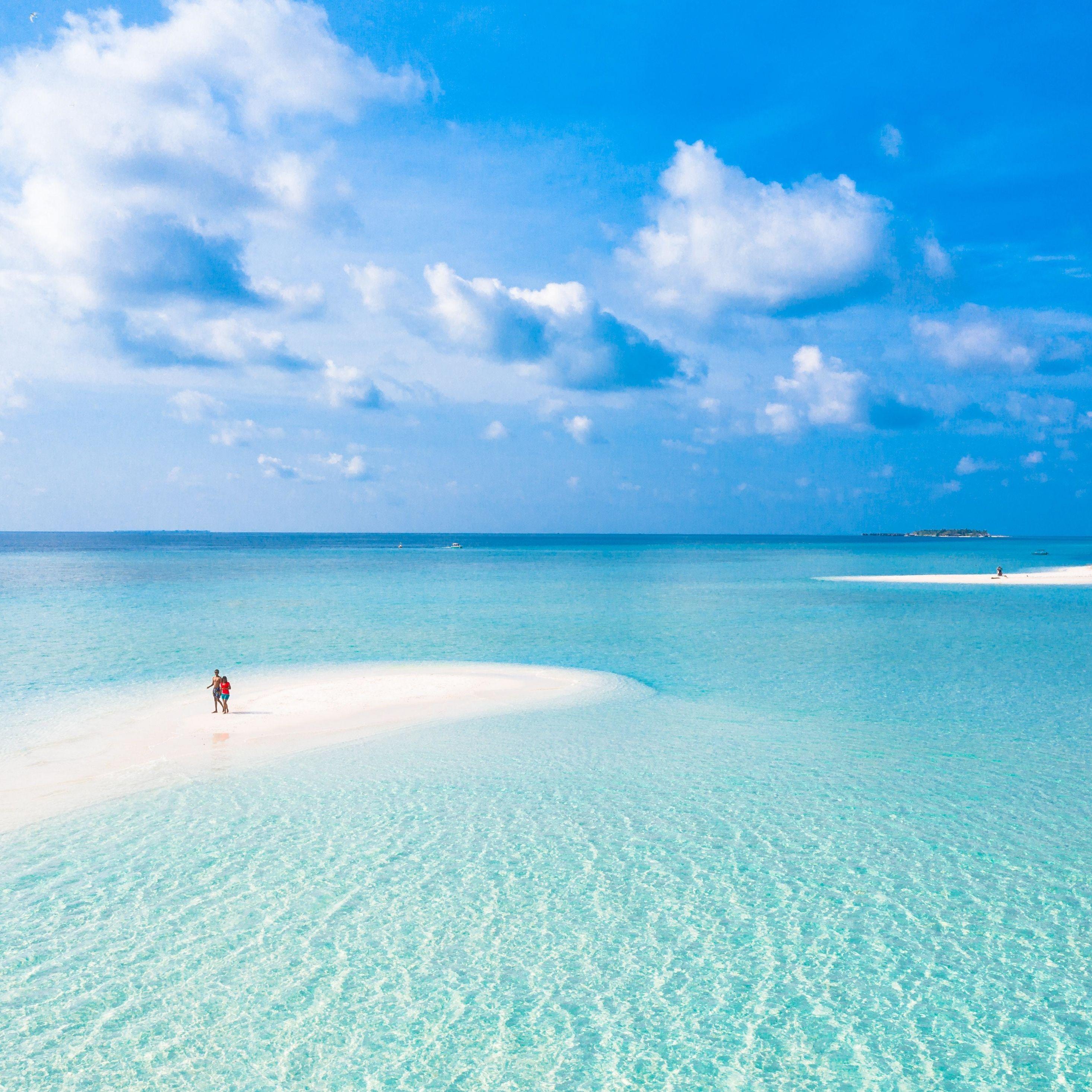 Tropical iPad Wallpapers Top Free Tropical iPad Backgrounds WallpaperAccess