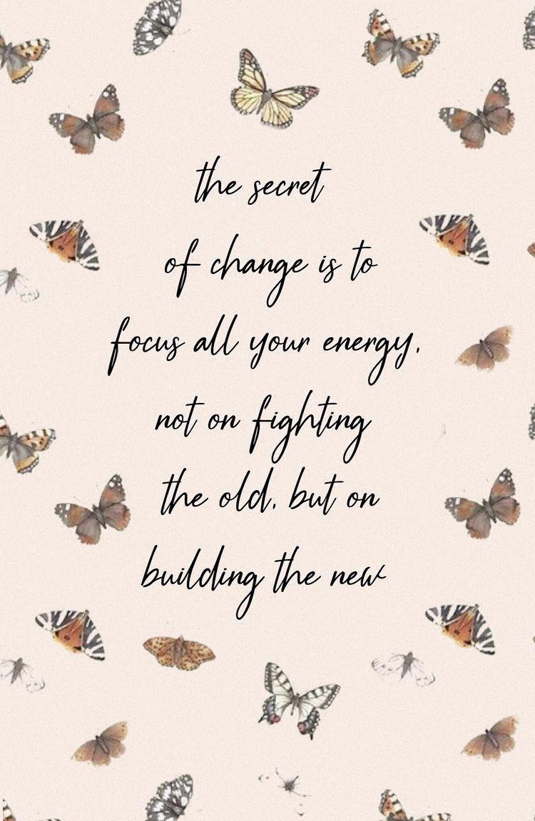 Butterfly Quotes Wallpapers Top Free Butterfly Quotes Backgrounds