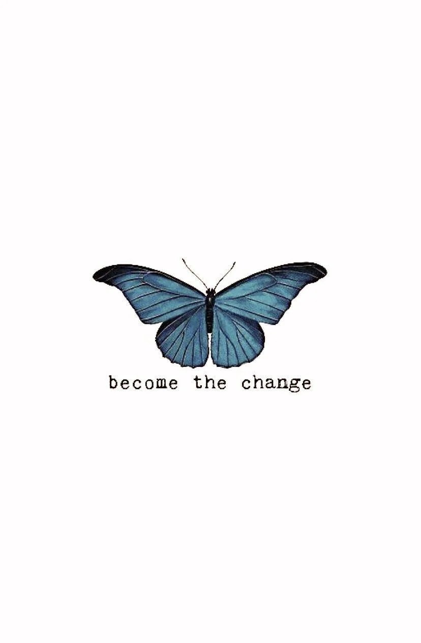 Butterfly Quotes Wallpapers Top Free Butterfly Quotes Backgrounds