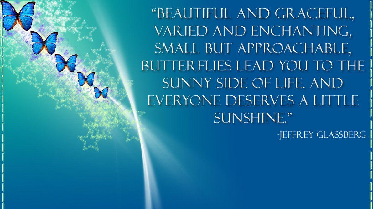 Butterfly Quotes Wallpapers Top Free Butterfly Quotes Backgrounds