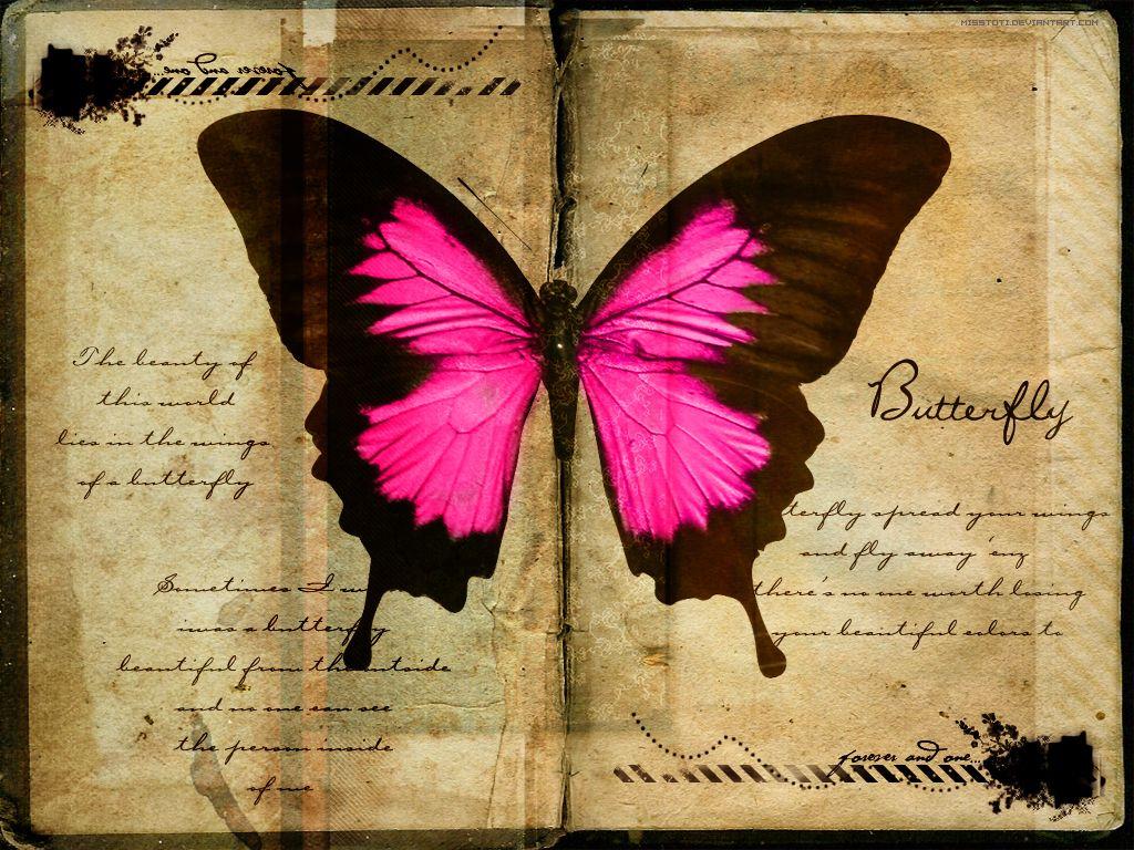 Butterfly Quotes Wallpapers Top Free Butterfly Quotes Backgrounds