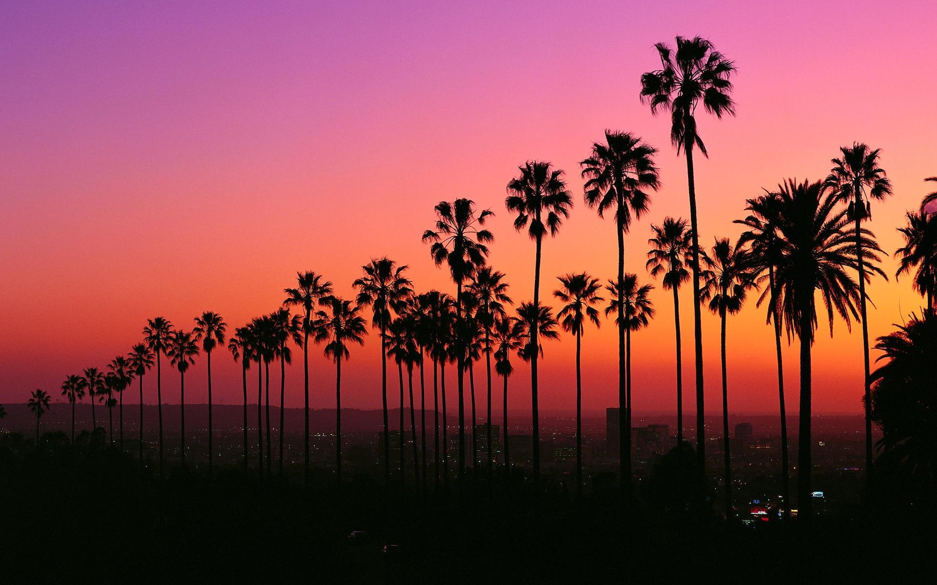 Los Angeles Aesthetic Wallpapers Top Free Los Angeles Aesthetic