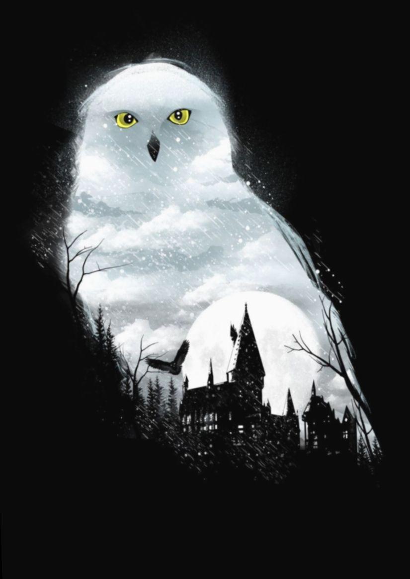 Harry Potter Hedwig Wallpapers Top Free Harry Potter Hedwig