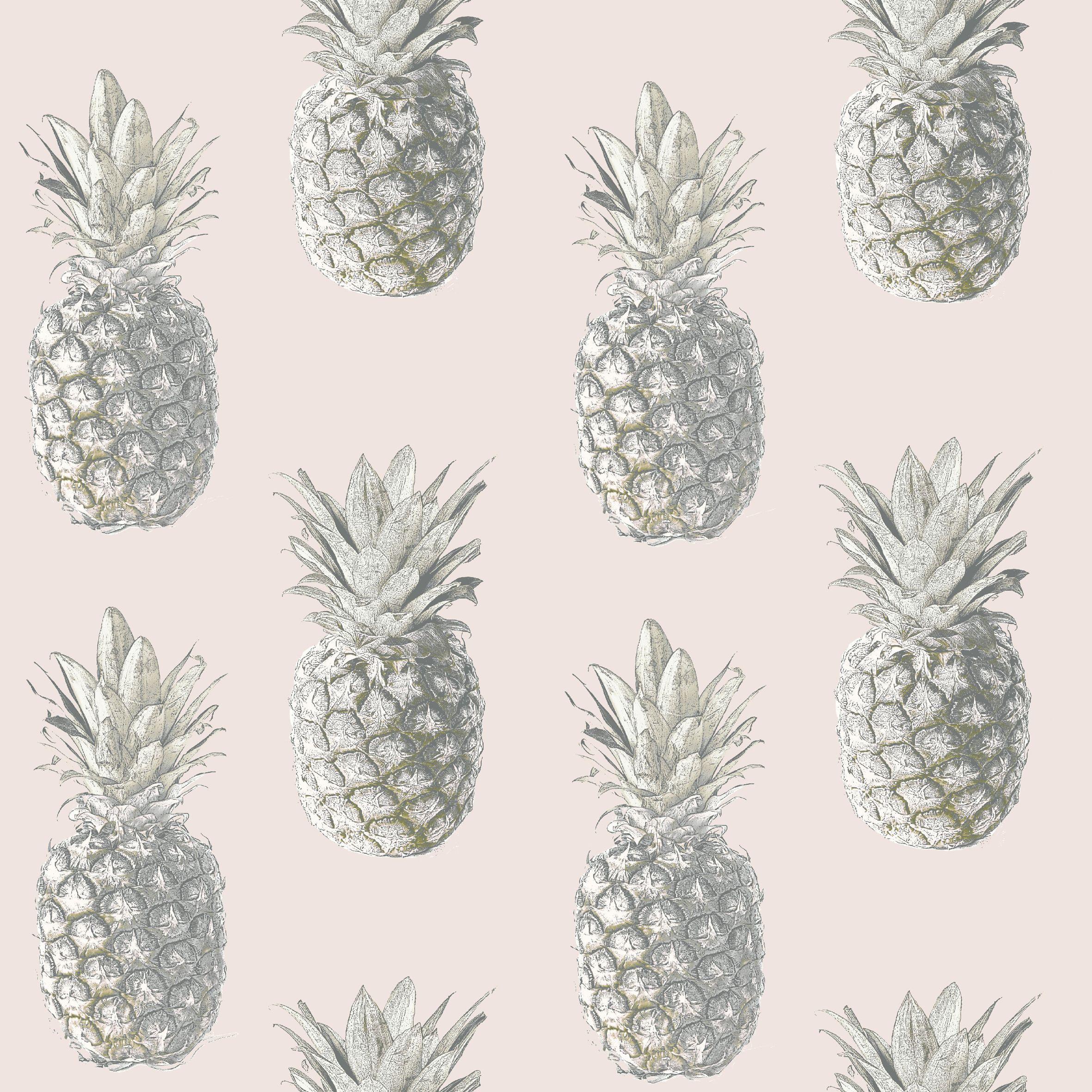 Pineapple Wallpapers Top Free Pineapple Backgrounds WallpaperAccess