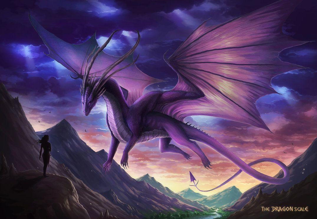 Purple Dragons Wallpapers Top Free Purple Dragons Backgrounds