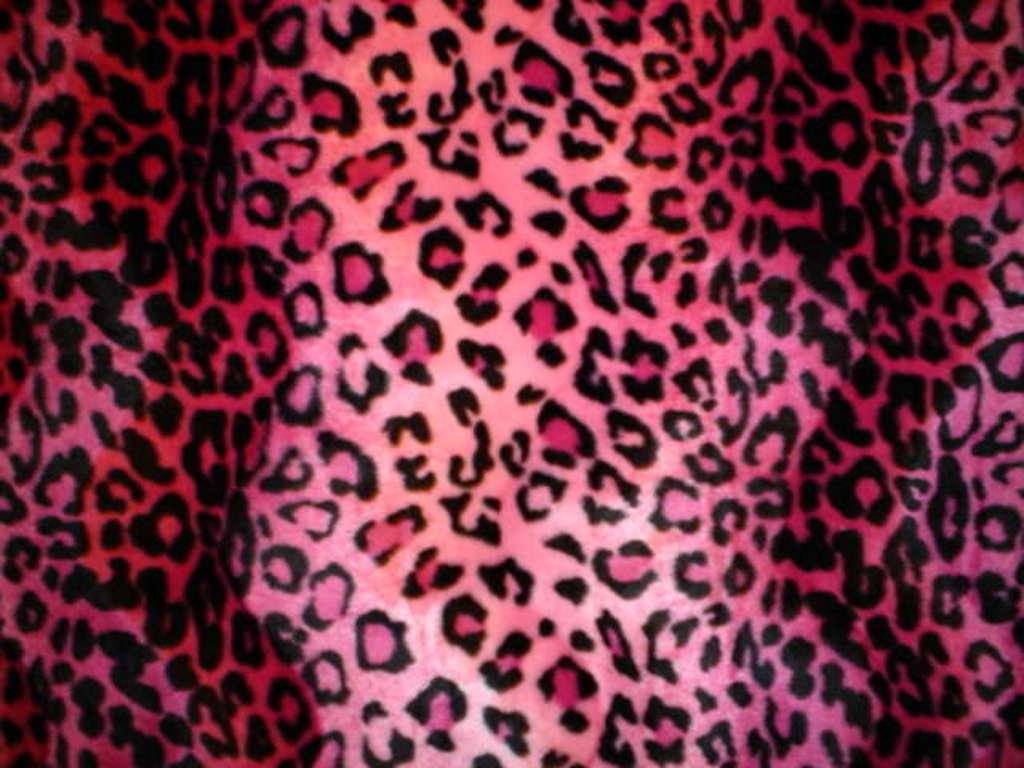 Cute Animal Print Wallpapers Top Free Cute Animal Print Backgrounds