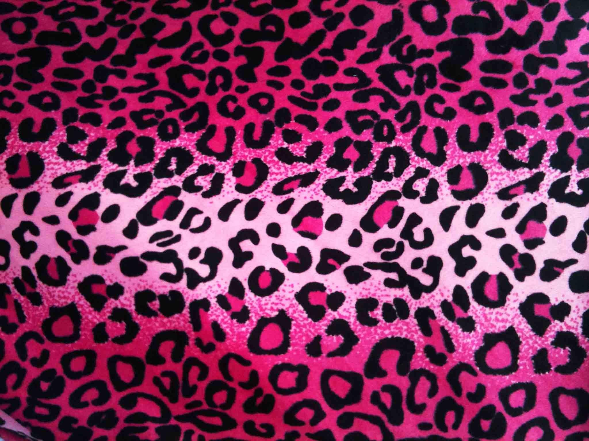 Cute Animal Print Wallpapers Top Free Cute Animal Print Backgrounds WallpaperAccess