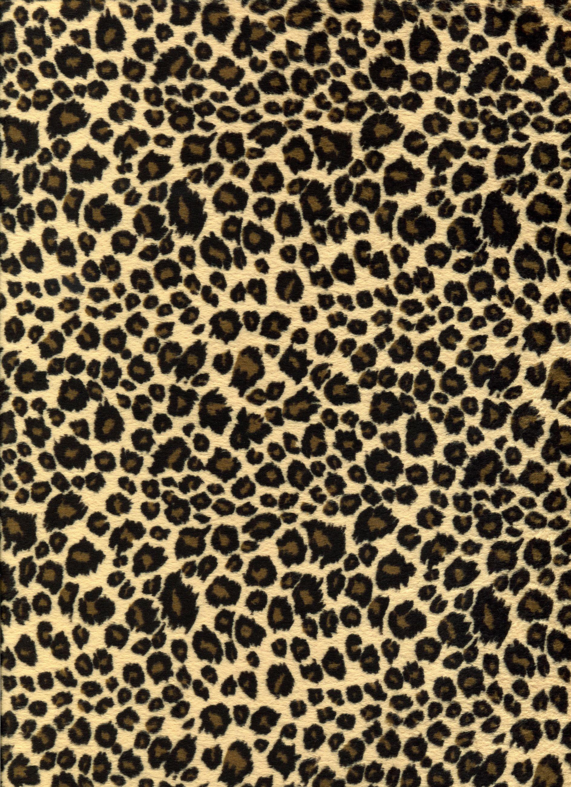 Cute Animal Print Wallpapers Top Free Cute Animal Print Backgrounds