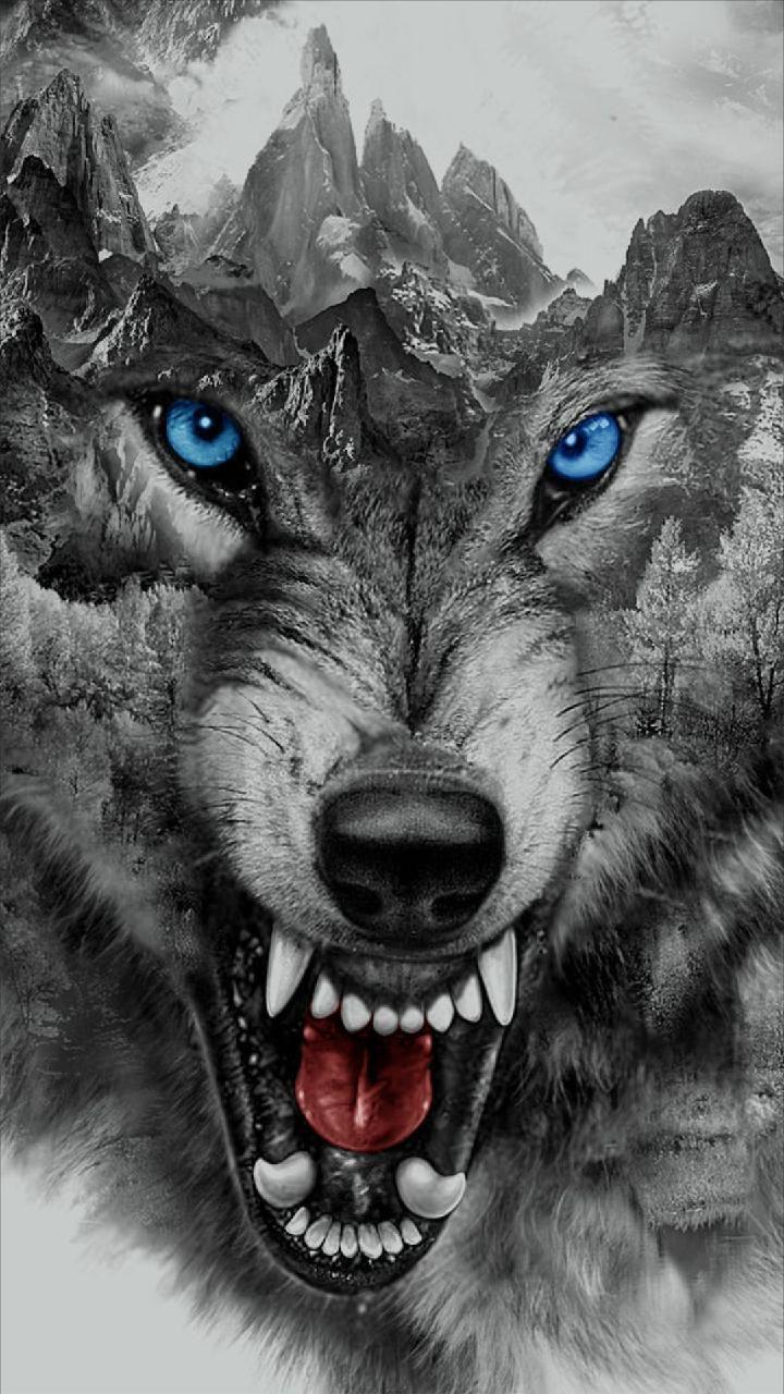 Wolf Tattoo Wallpapers - Top Free Wolf Tattoo Backgrounds - Wallpaperaccess 1280_x_720_jpg