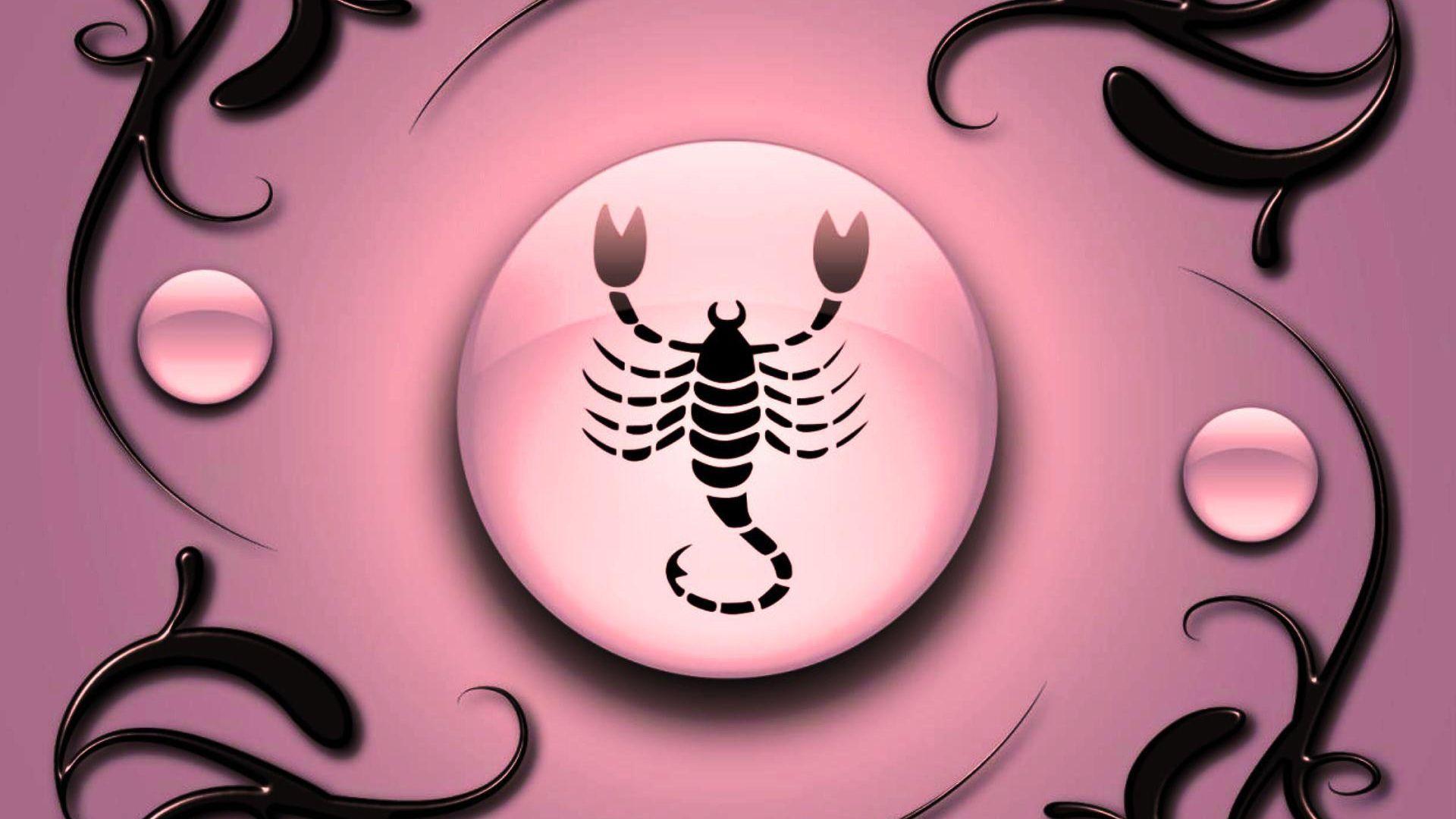 Scorpio Computer Wallpapers Top Free Scorpio Computer Backgrounds