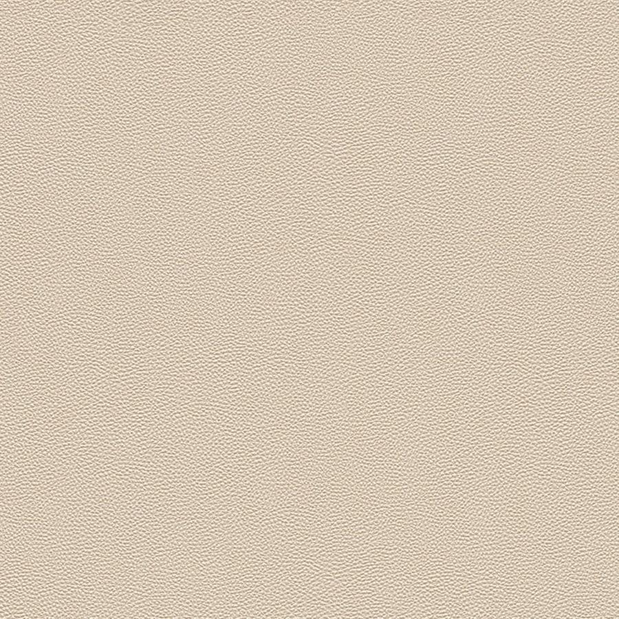 Brown Plain Wallpapers Top Free Brown Plain Backgrounds WallpaperAccess