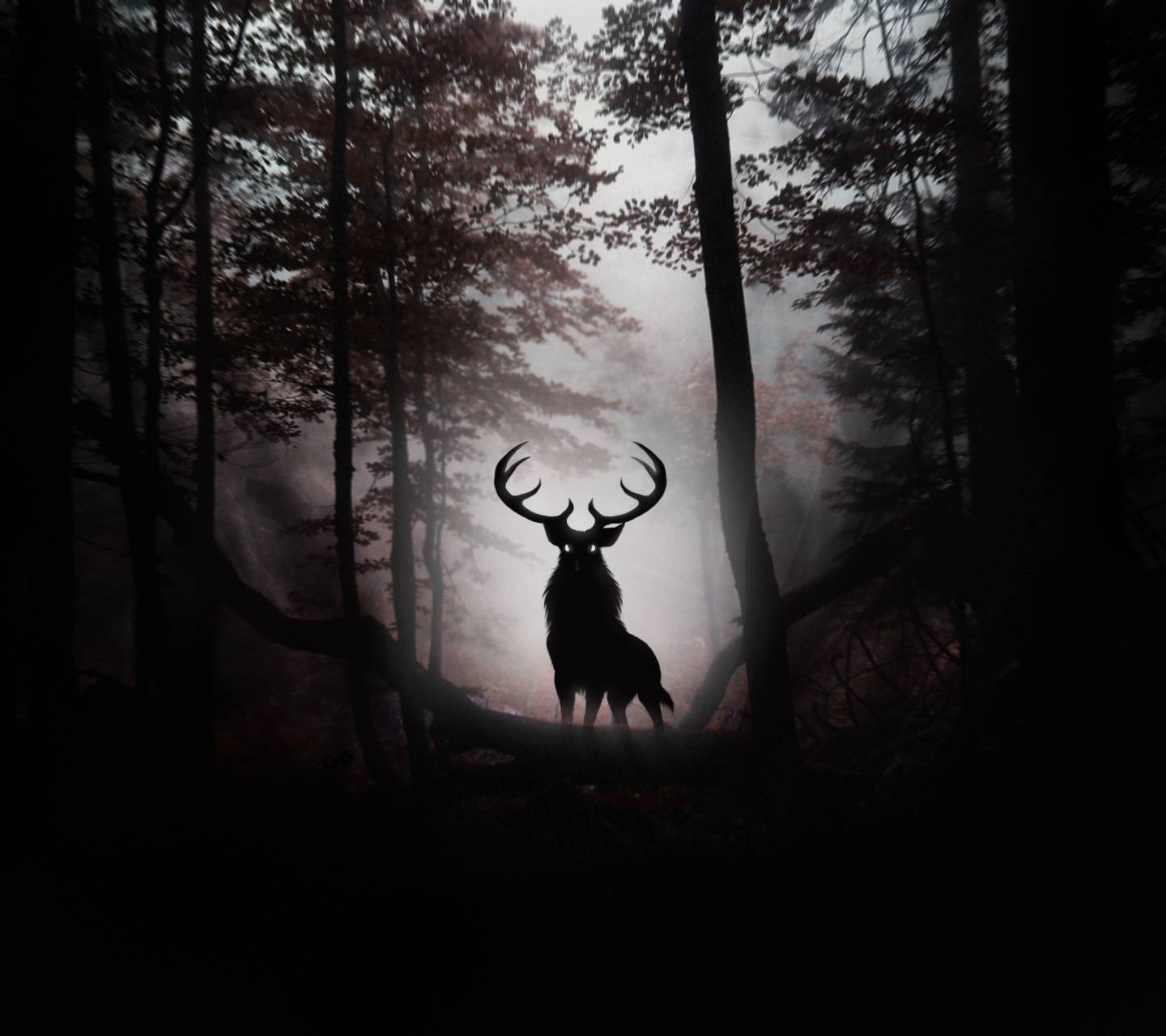 Deer in Forest Wallpapers Top Free Deer in Forest Backgrounds
