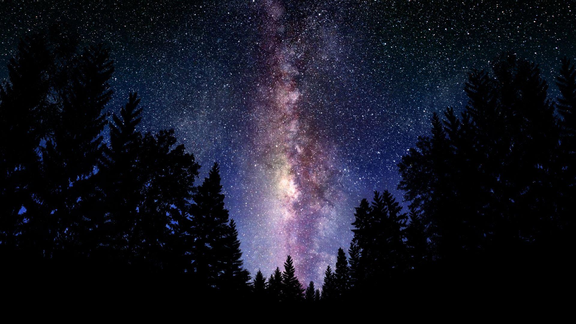 Forest Night Sky Wallpapers Top Free Forest Night Sky Backgrounds