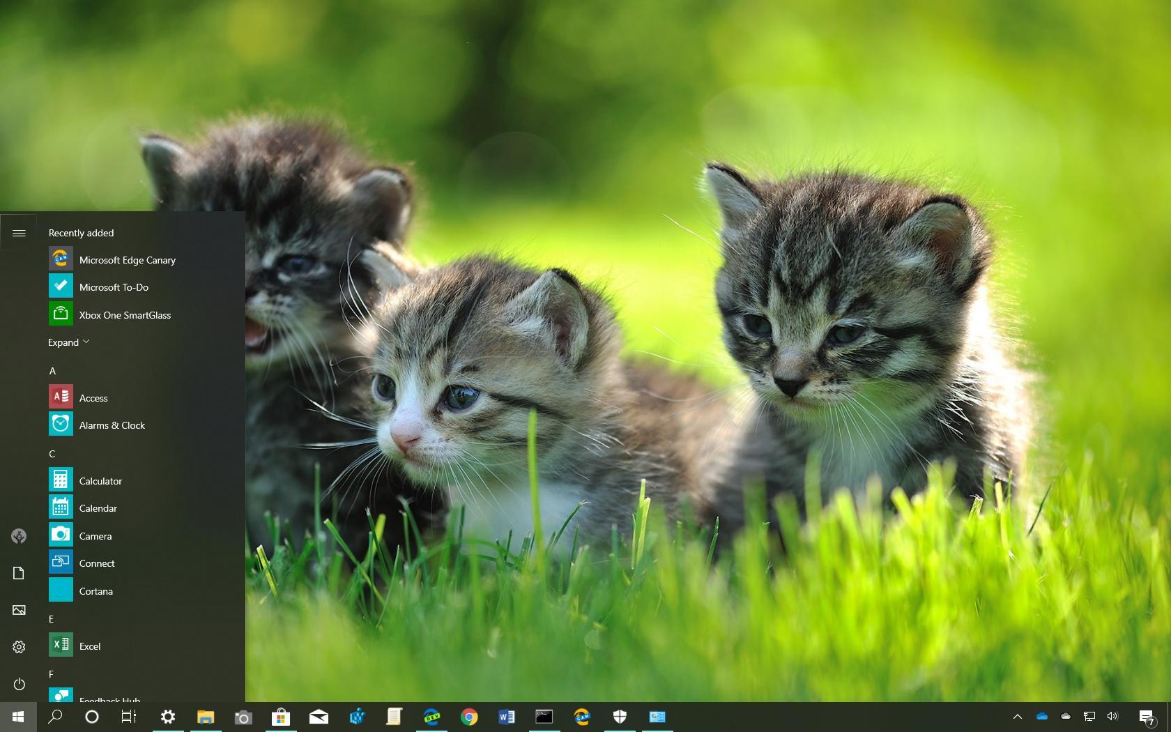 Windows Animal Wallpapers Top Free Windows Animal Backgrounds