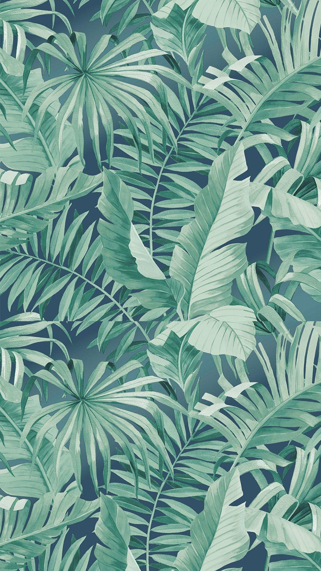 Green Tropical Wallpapers Top Free Green Tropical Backgrounds WallpaperAccess
