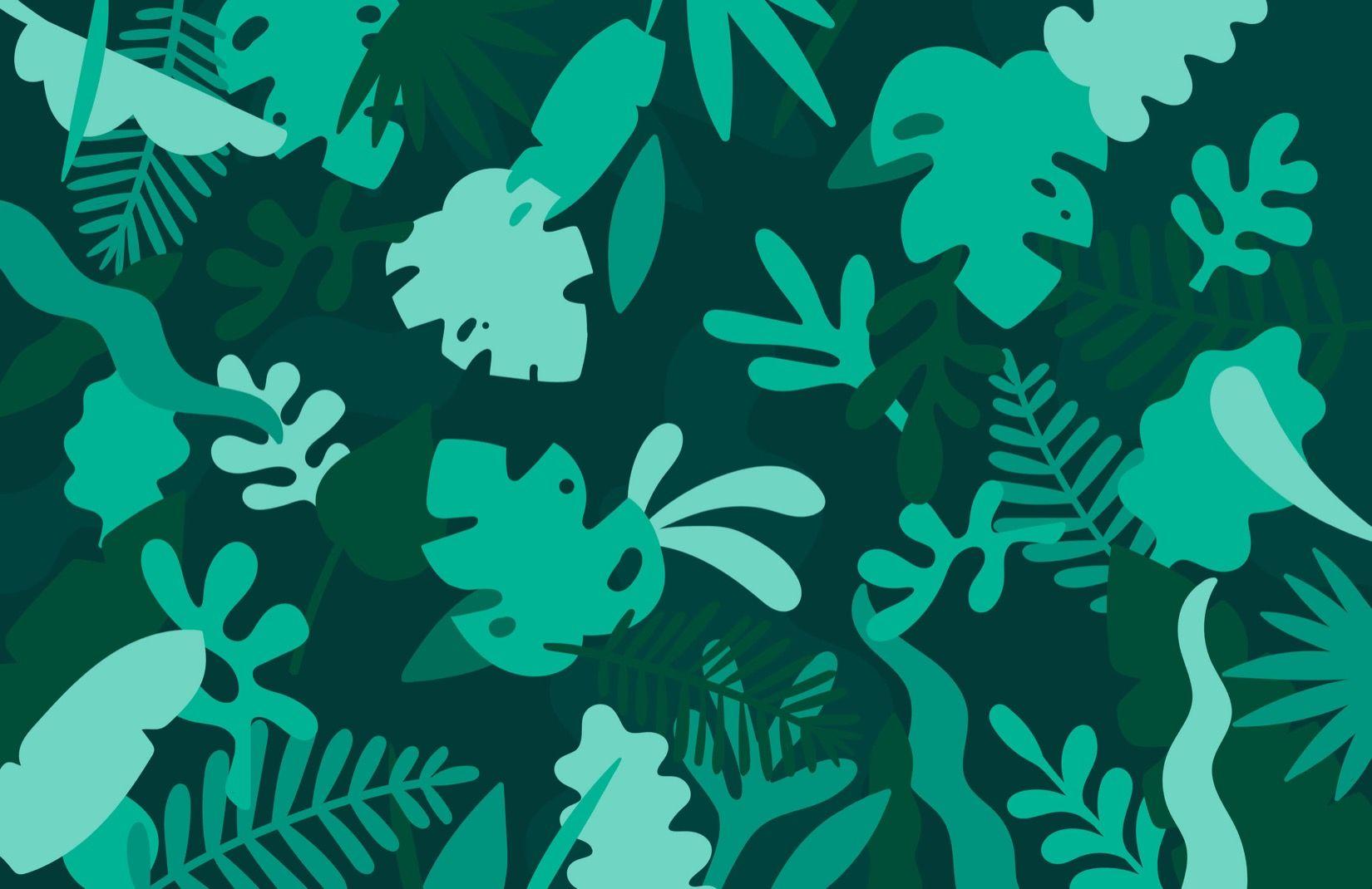 Green Tropical Wallpapers Top Free Green Tropical Backgrounds