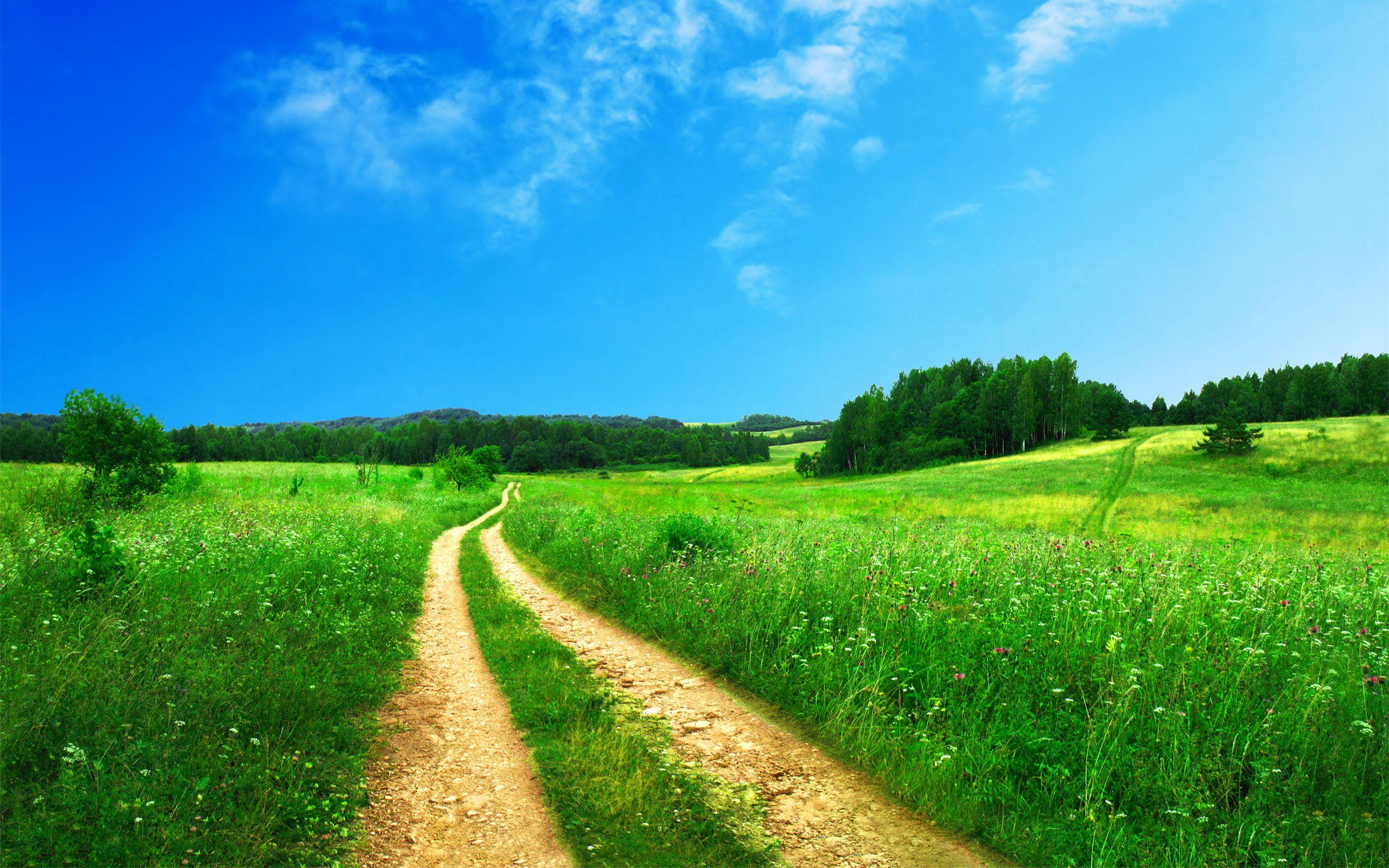 Green Scenery Wallpapers Top Free Green Scenery Backgrounds