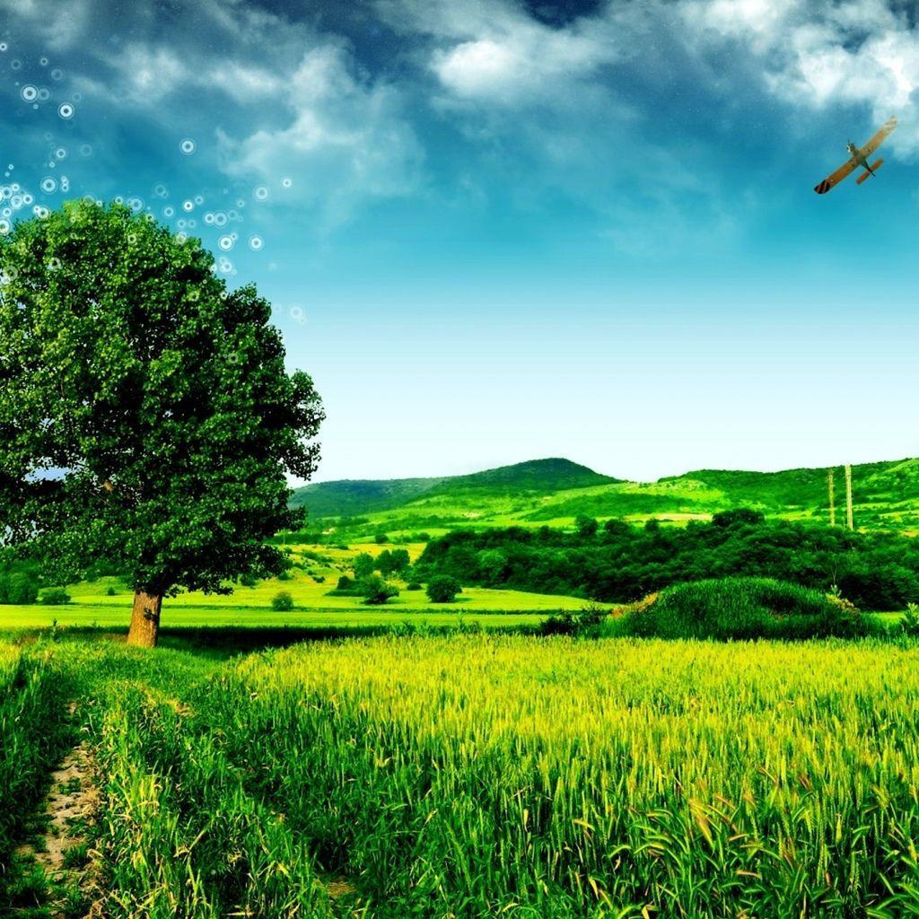 Green Scenery Wallpapers Top Free Green Scenery Backgrounds