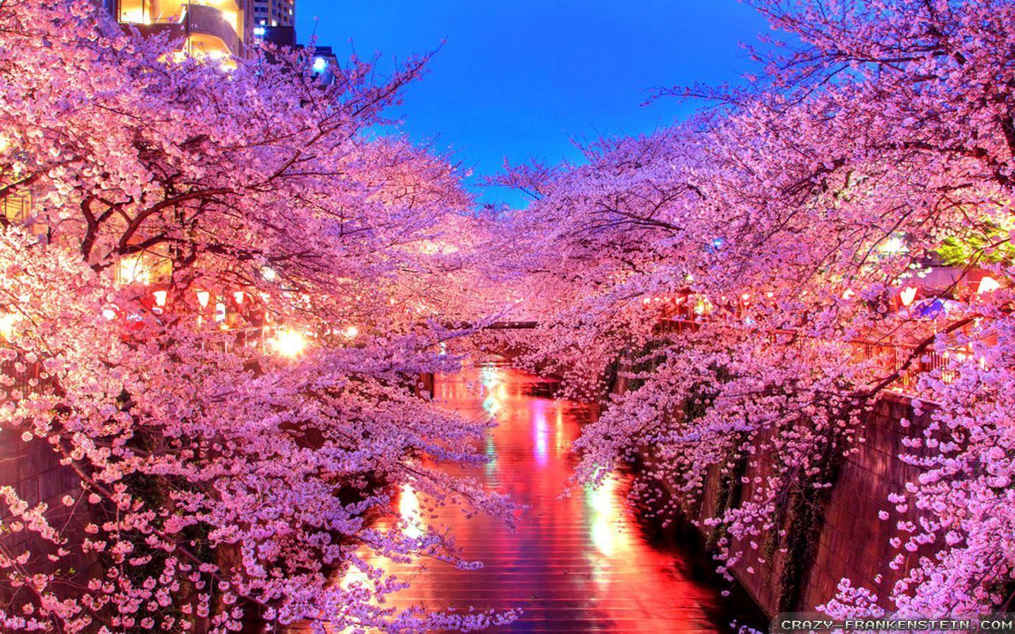 Best Japan Wallpapers Top Free Best Japan Backgrounds WallpaperAccess