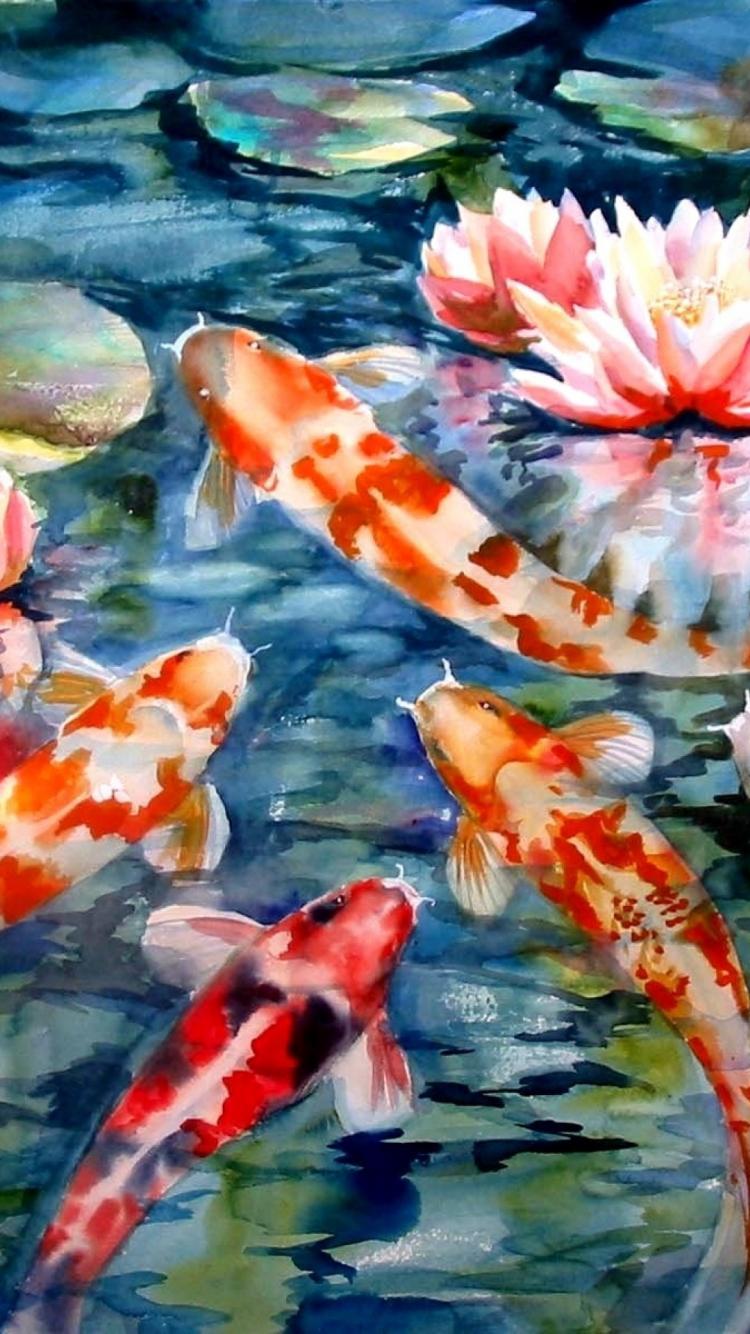 Koi Fish iPhone Wallpapers Top Free Koi Fish iPhone Backgrounds