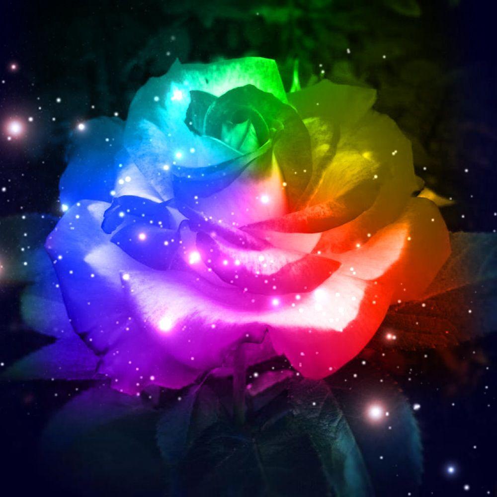 Rainbow Galaxy Wallpapers Top Free Rainbow Galaxy Backgrounds