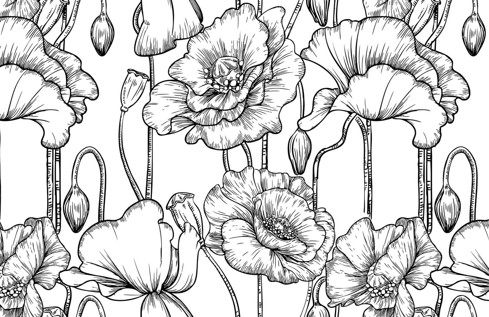 Black and White Floral Vintage Wallpapers Top Free Black and White
