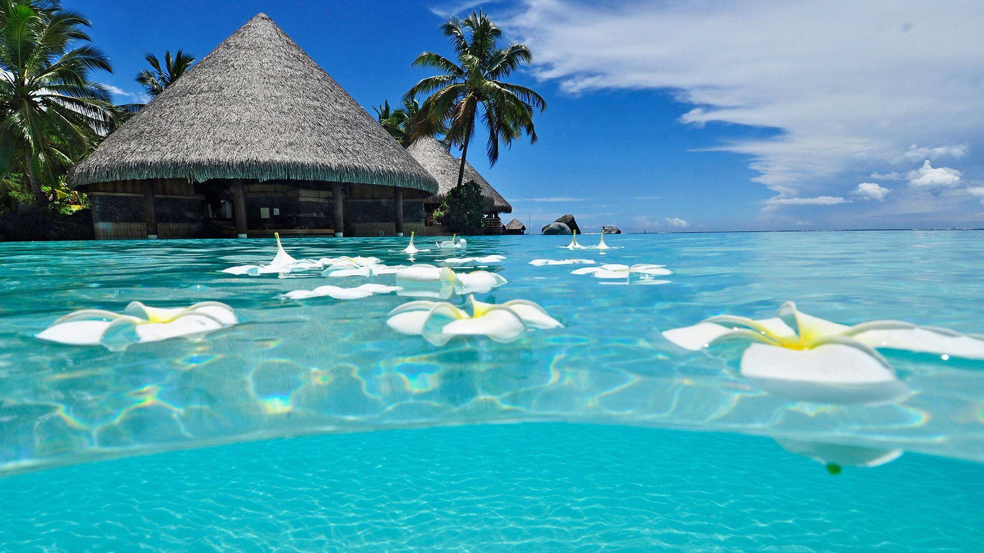 Paradise Desktop Wallpapers Top Free Paradise Desktop Backgrounds