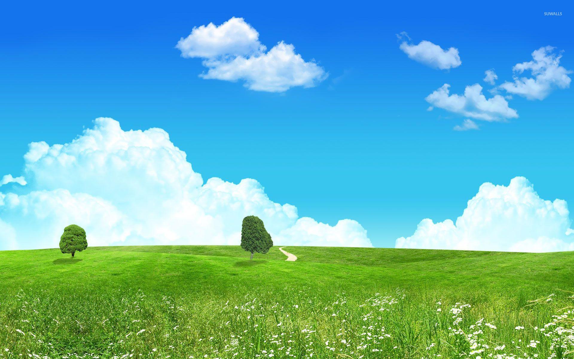 Meadow Wallpapers Top Free Meadow Backgrounds WallpaperAccess