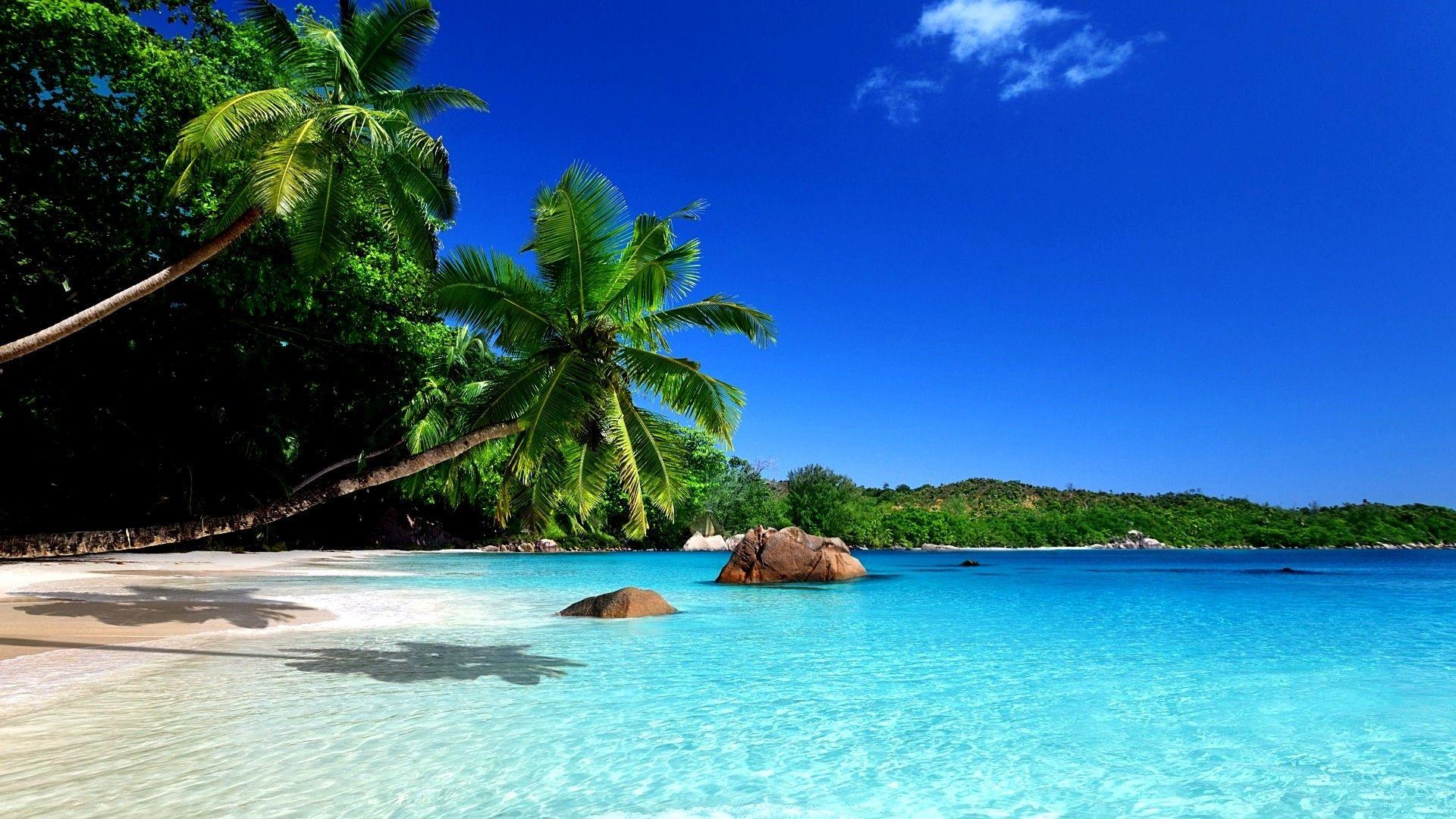 Paradise Desktop Wallpapers Top Free Paradise Desktop Backgrounds
