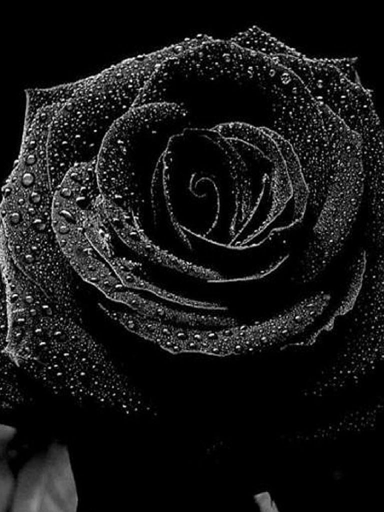 Pretty Black Wallpapers Top Free Pretty Black Backgrounds