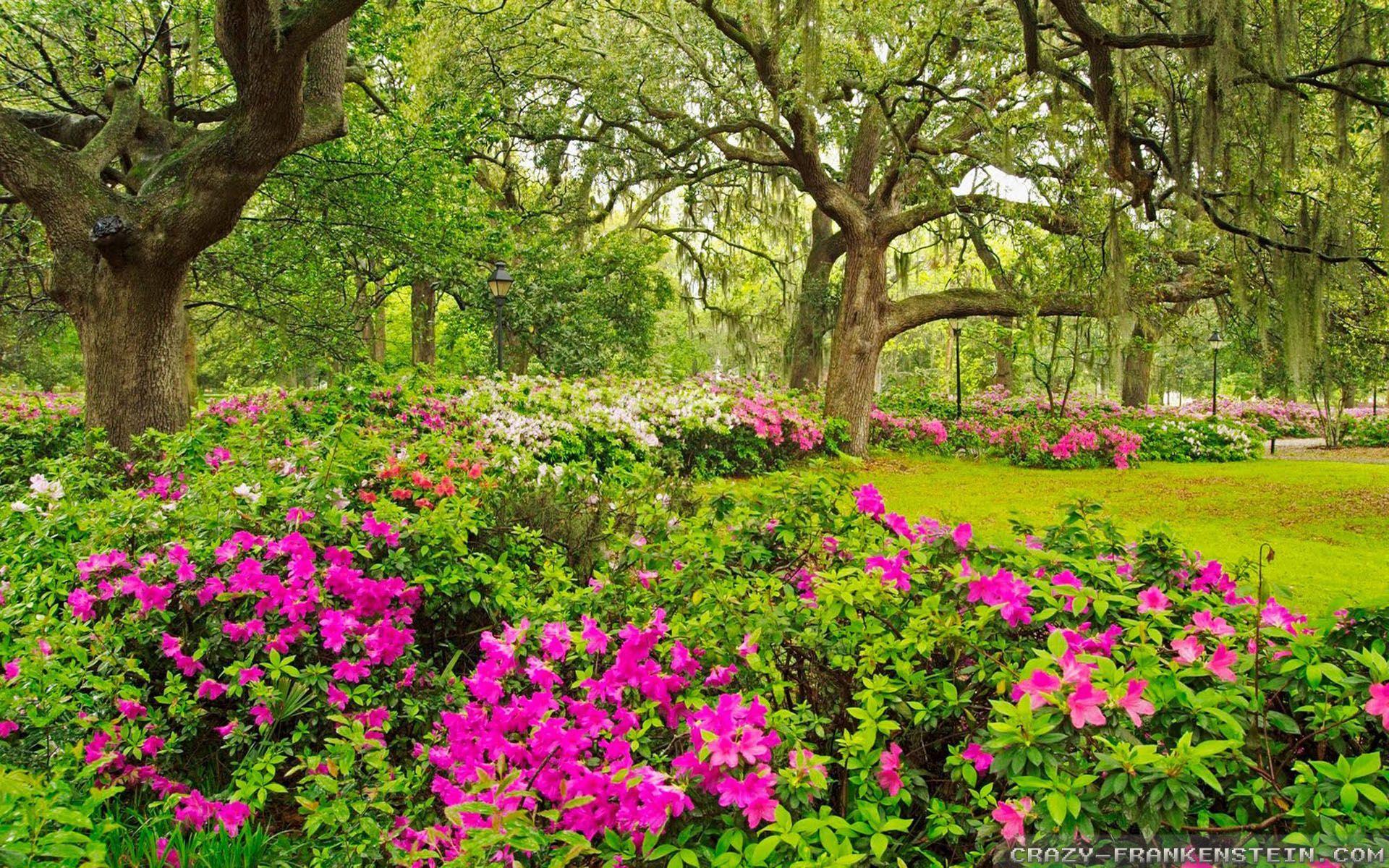 Flower Garden Wallpapers Top Free Flower Garden Backgrounds